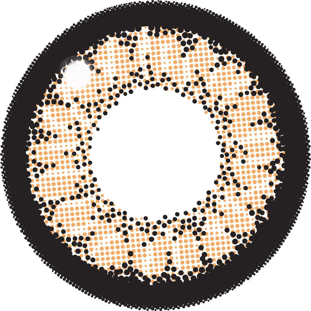 No.9 브라운 | 1일용