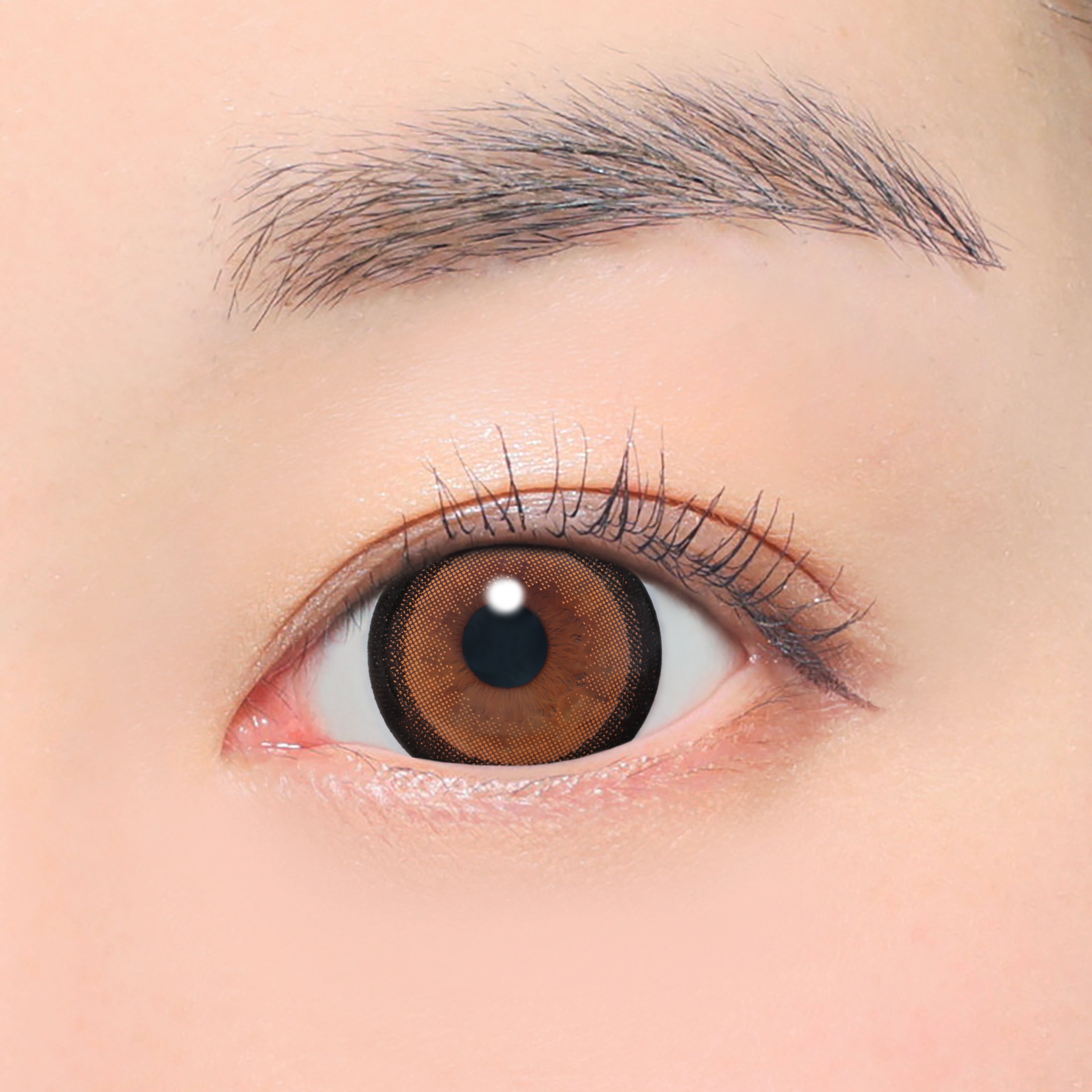 No.3 棕色 散光镜片 (AXIS 180°/CYL -0.75D&-1.25D) [secret candymagic] | 1day 