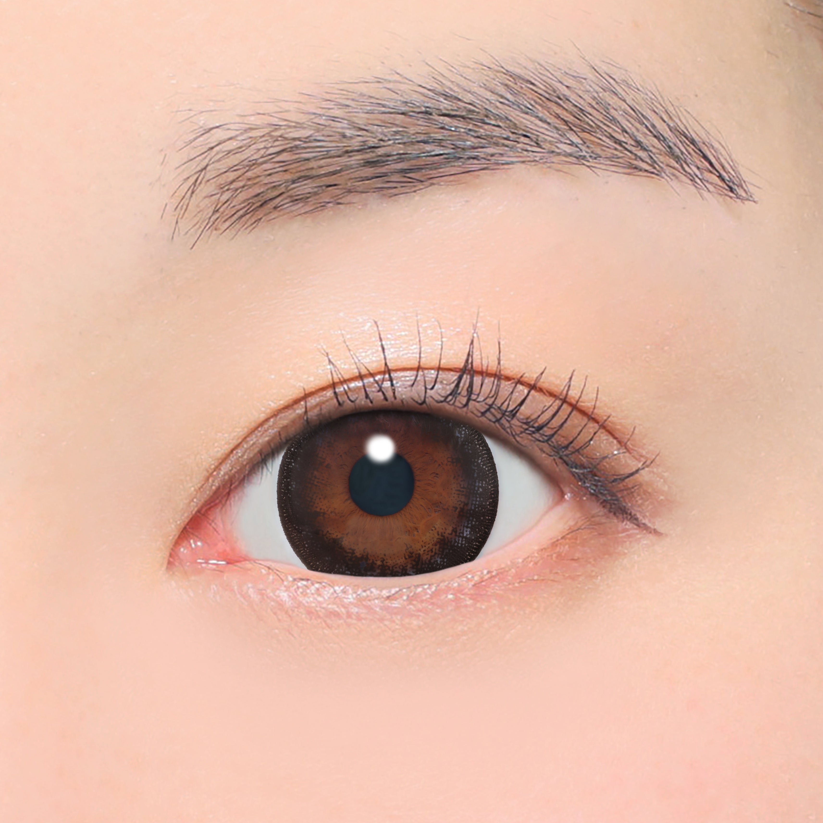 No.5 Black Toric Lens (AXIS 180°/CYL -1.75D&-2.25D) [secret candymagic] | 1day 