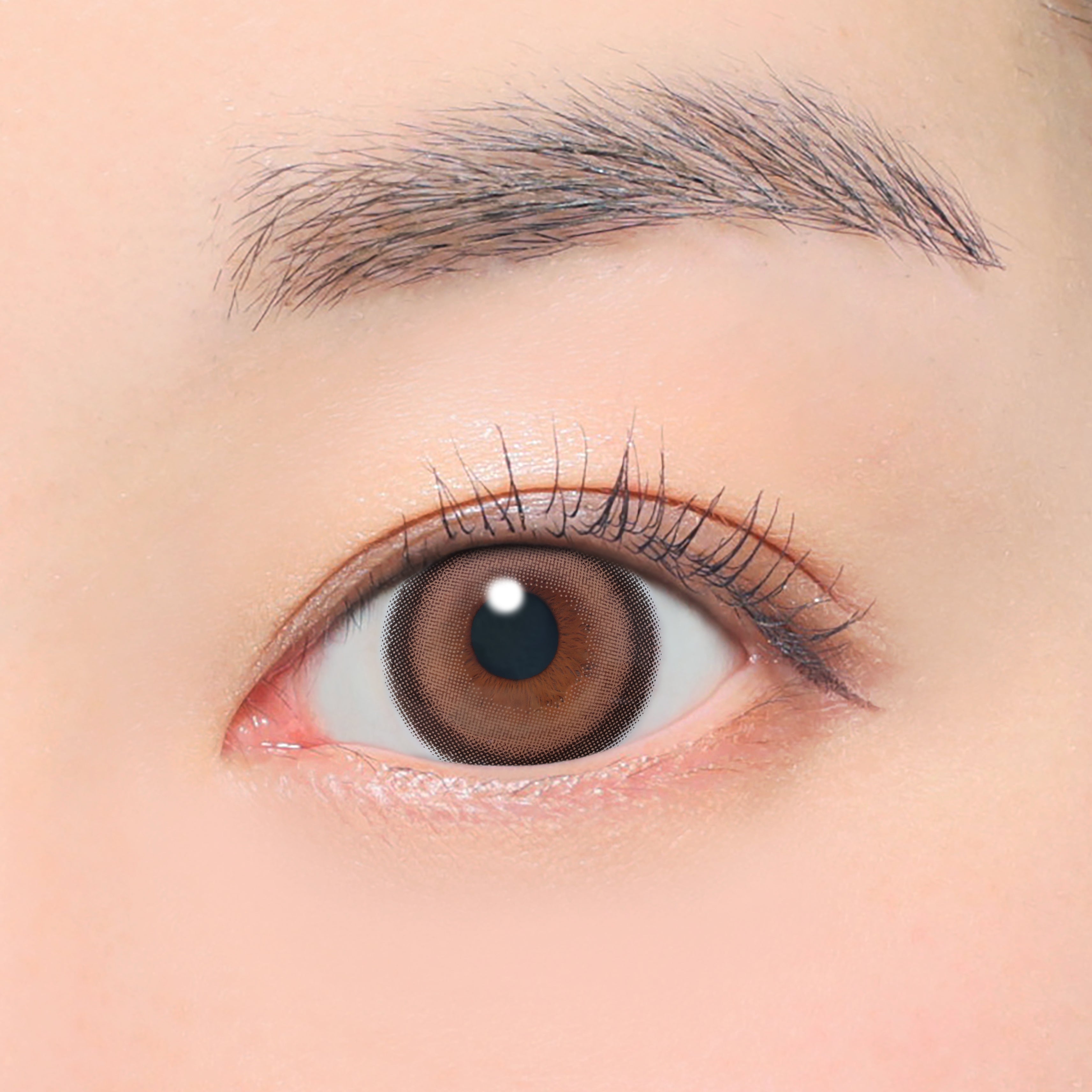 Vanilla Brown Toric Lens (AXIS 180°/CYL -1.75D&-2.25D) [secret candymagic] | 1day 