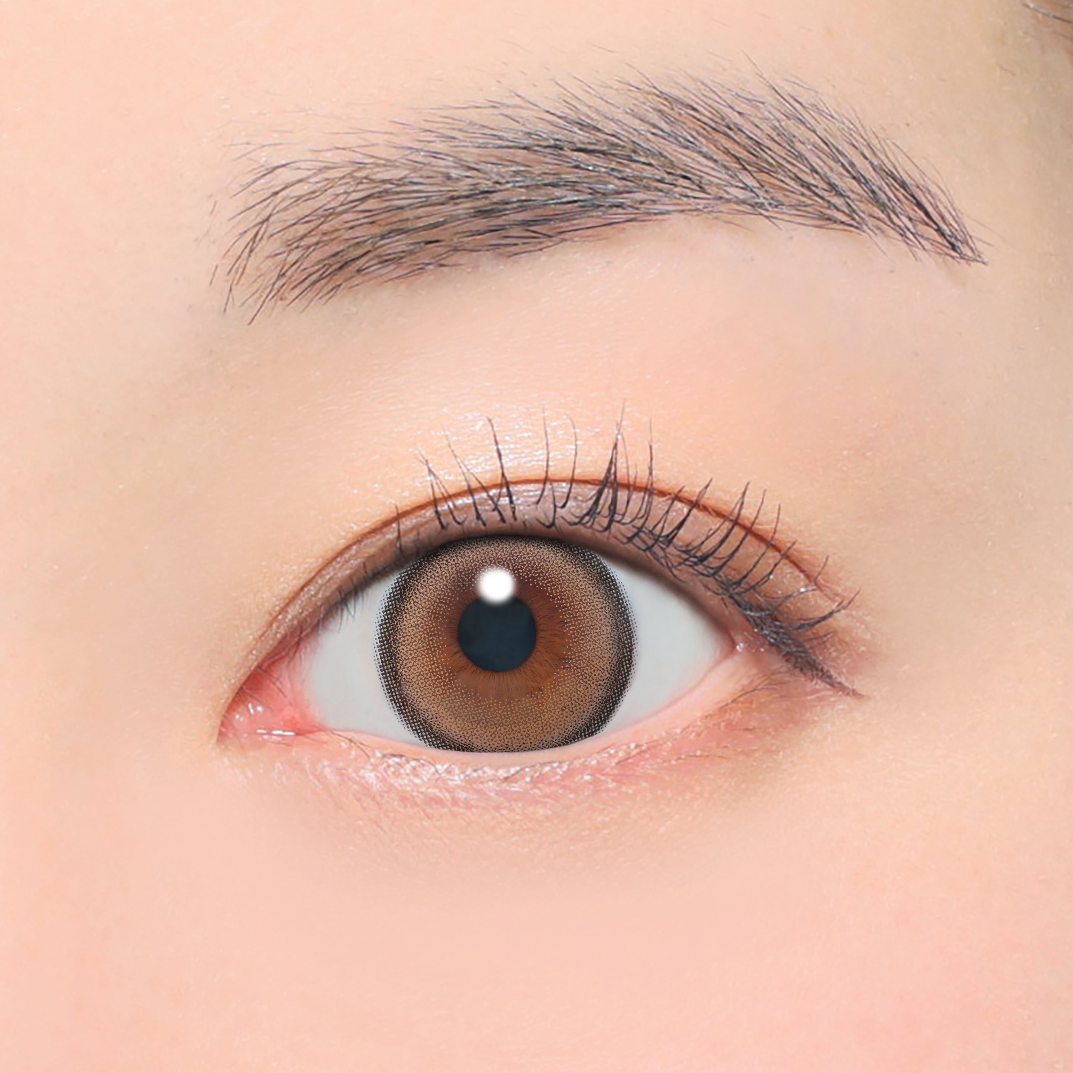 Latte Beige Torische Linsen (AXIS 180°/CYL -1.75D&-2.25D) [secret candymagic] | 1 Tag