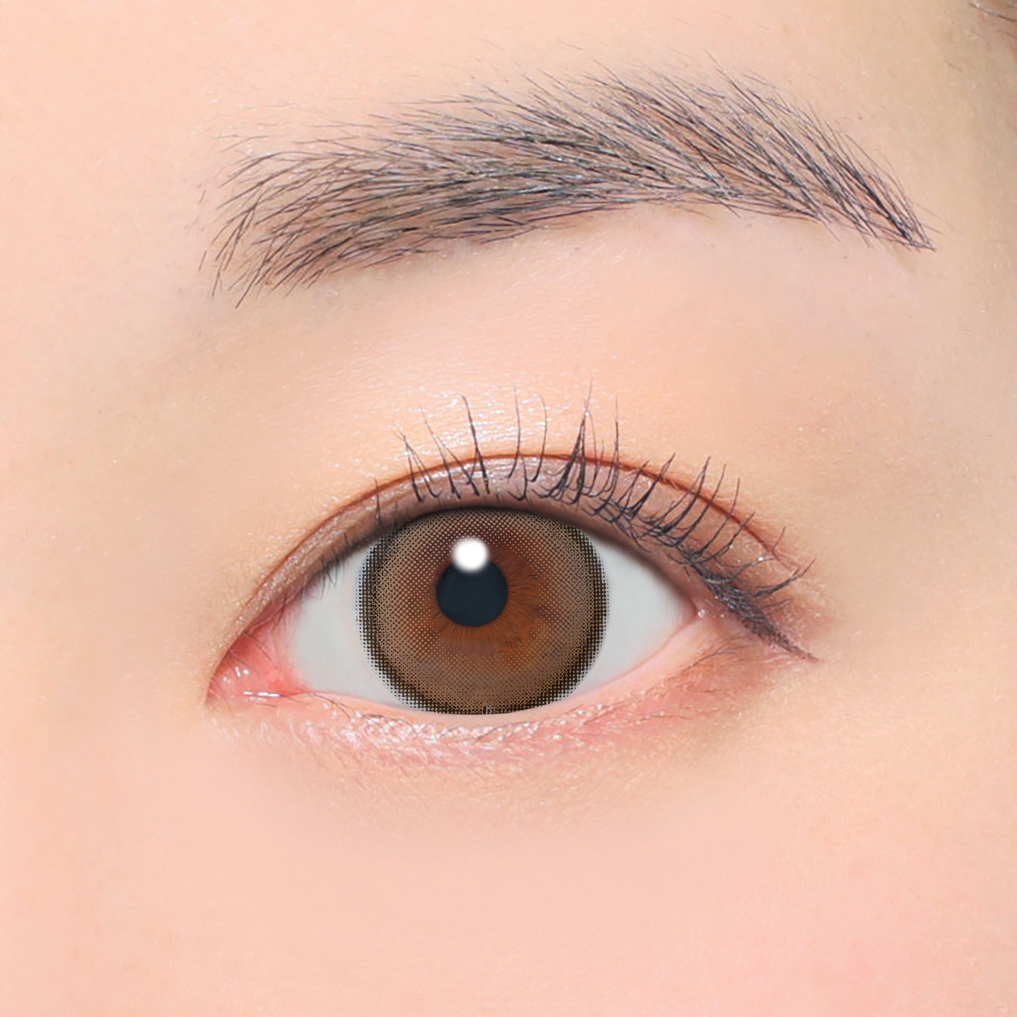 Latte-Beige Torische Linsen (AXIS 180°/CYL -0.75D&-1.25D) [secret candymagic] | 1 Monat