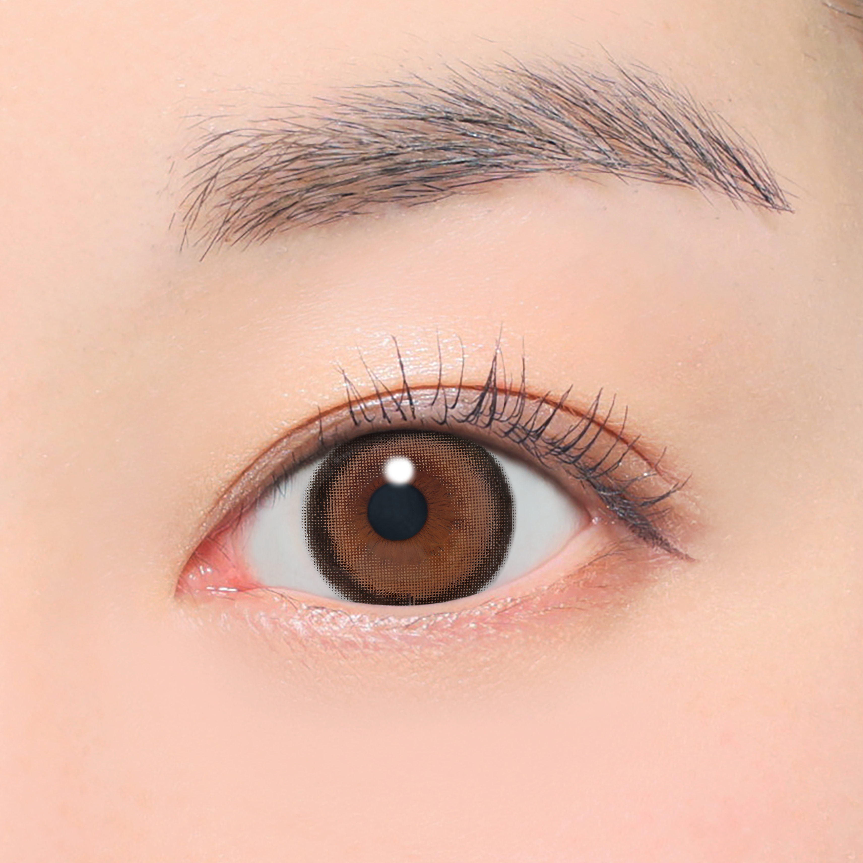 Marron vanille Lentilles toriques (AXIS 180°/CYL -1.75D&-2.25D) [secret candymagic] | 1 mois