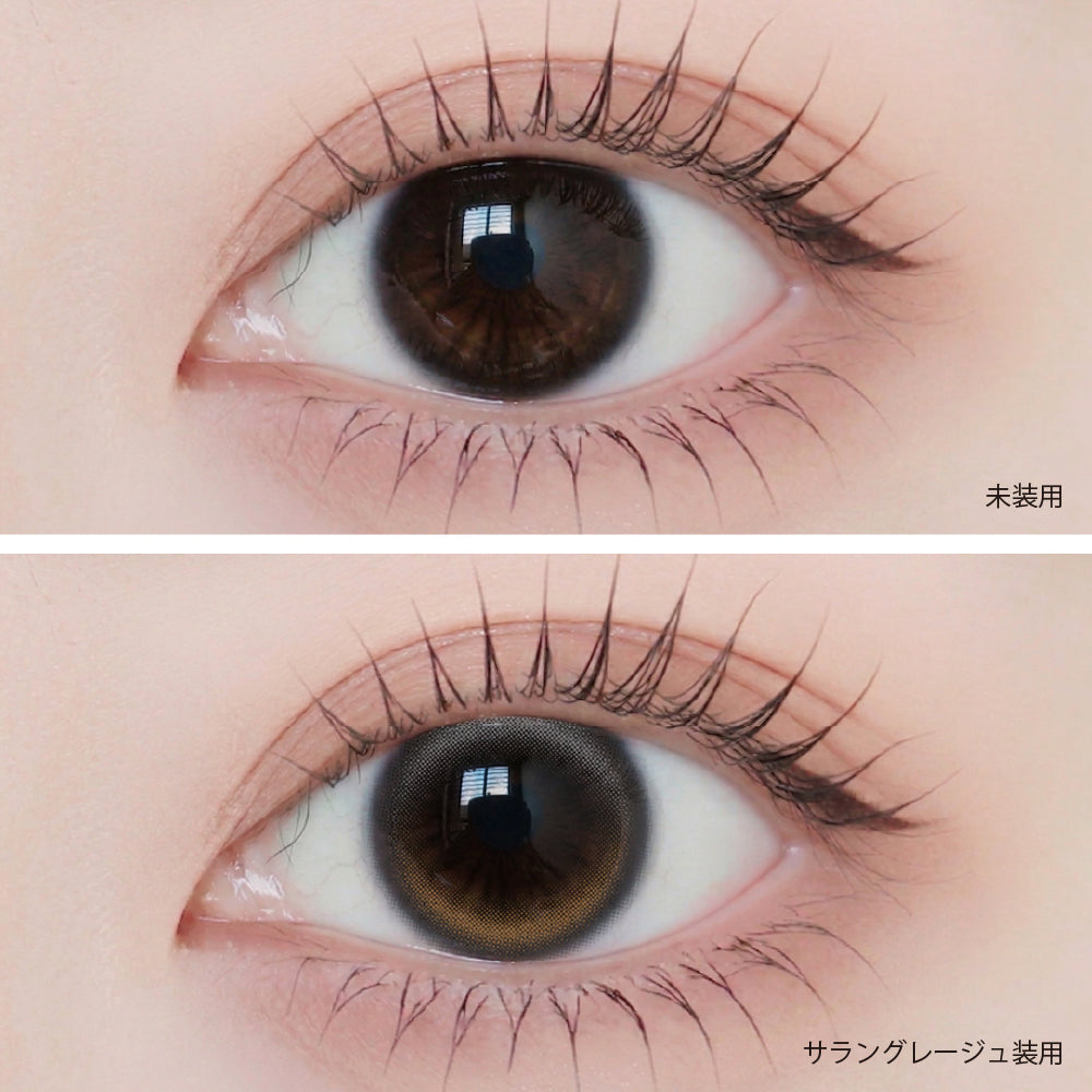 Grigio-beige sarang [ANGÉLIQUE] | 1day
