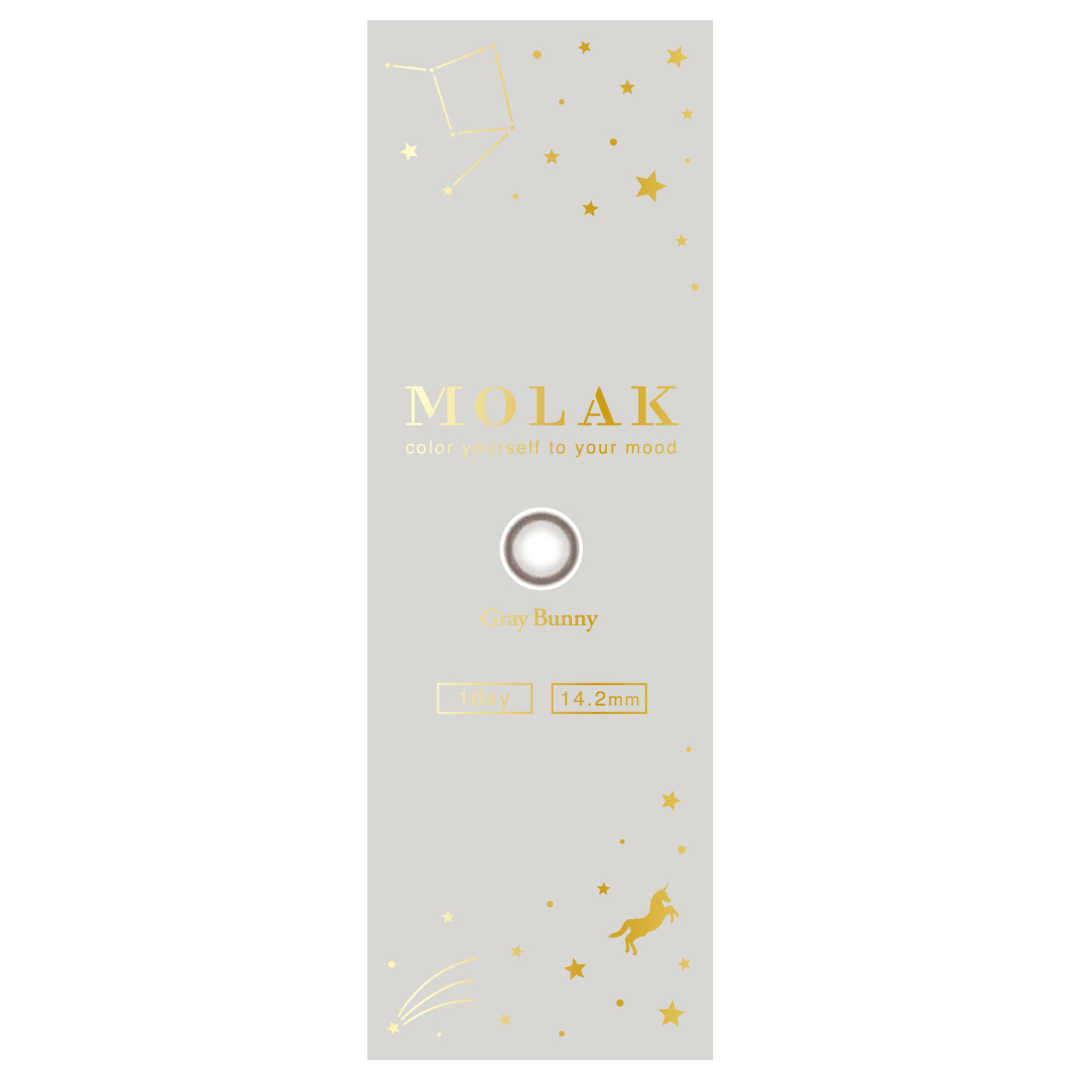 Grey Bunny [MOLAK] | 1day 