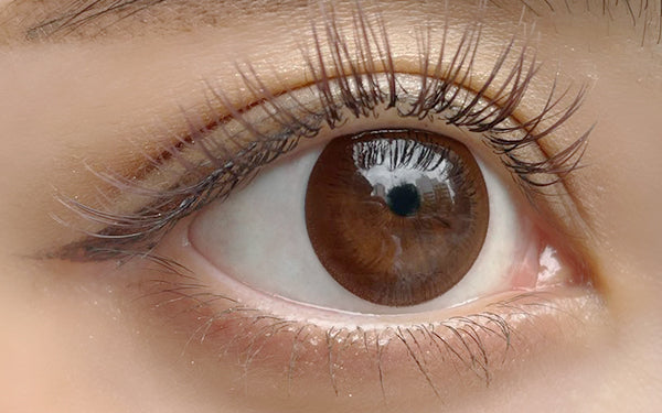 فيفيد براون العدسات الحيدية [ANGEL EYES] | 1 يوم 