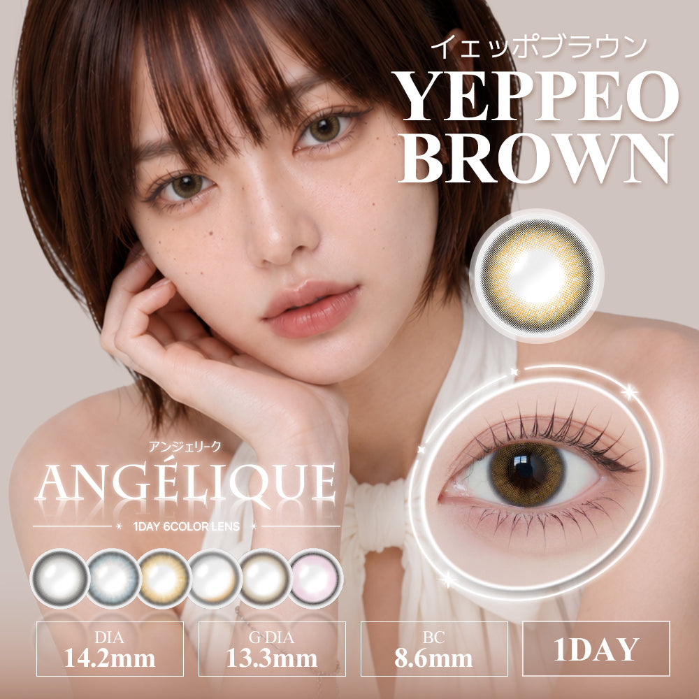 イェッポブラウン [ANGÉLIQUE] | 1day