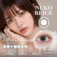 Beige chat [ANGÉLIQUE] | 1 mois