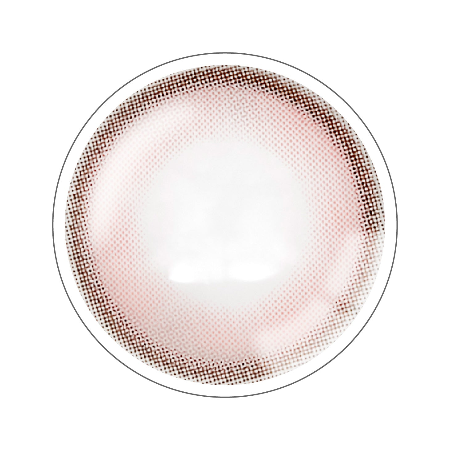 Edgepink [ANGÉLIQUE] | 1day 