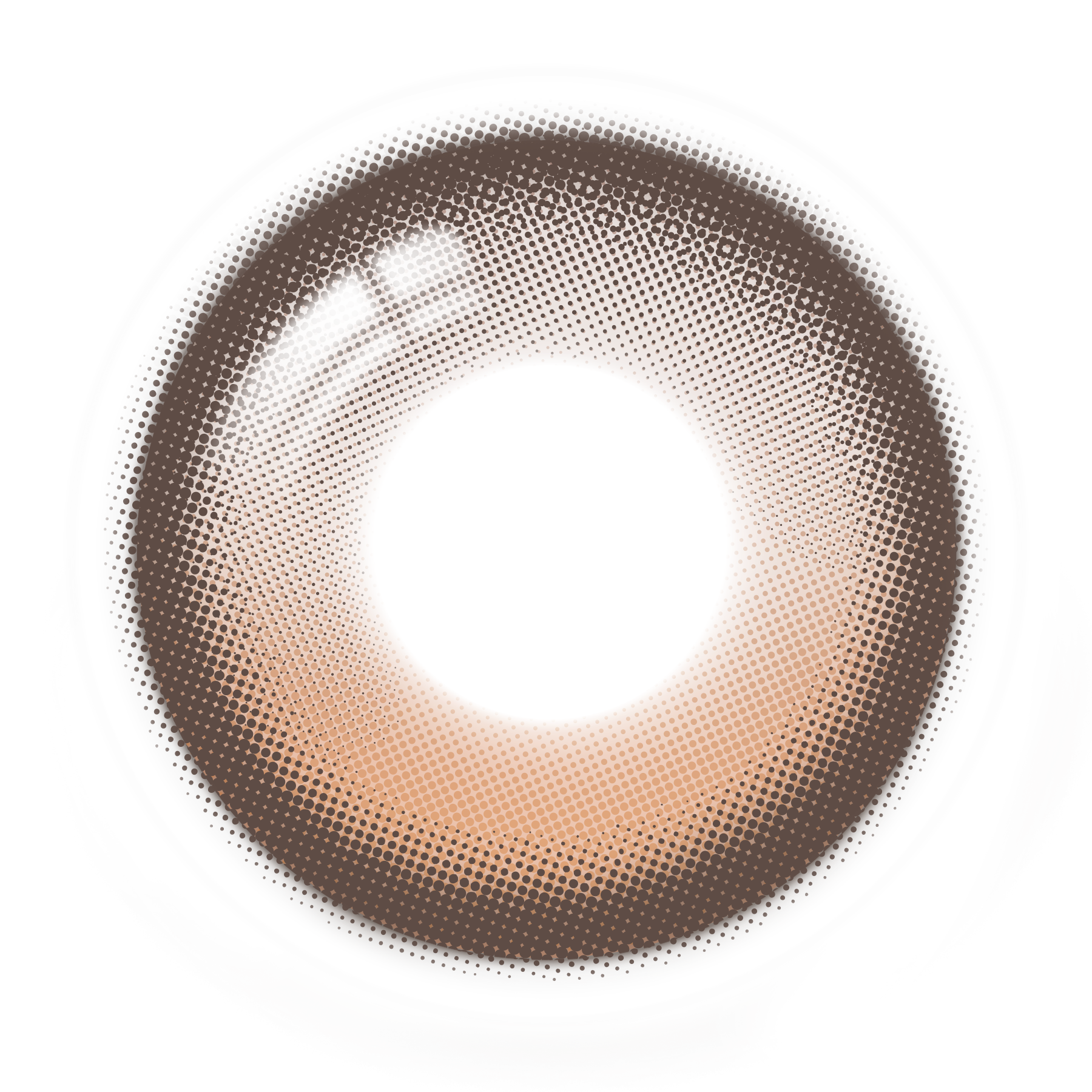 Brun clair [Unrolla] | 1day 