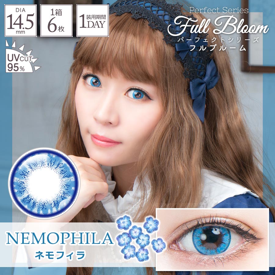 Nemophila | 1 dia