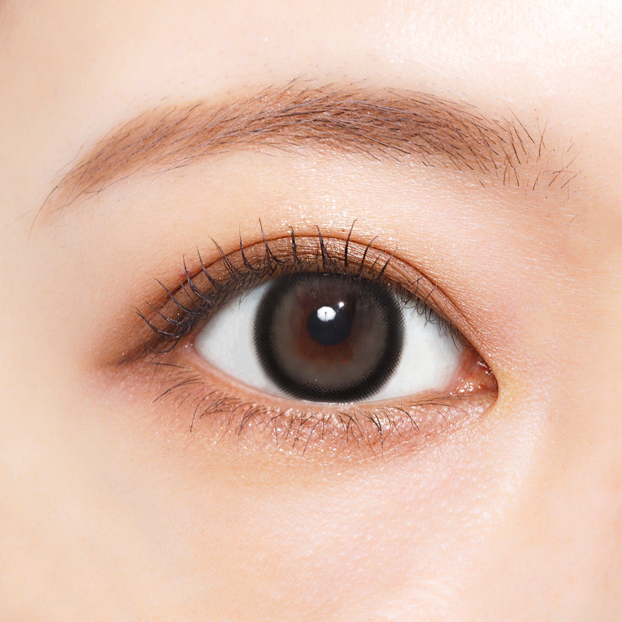 丘洛克雷普 [Charton] | 1month 