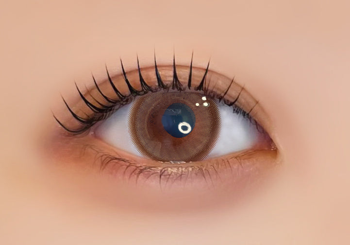 ショコリス [Ferenne] | 1day 