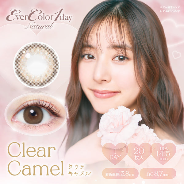 Clear Camel [EverColor] | 1day Colored Contact Lens - DIA 14.5mm