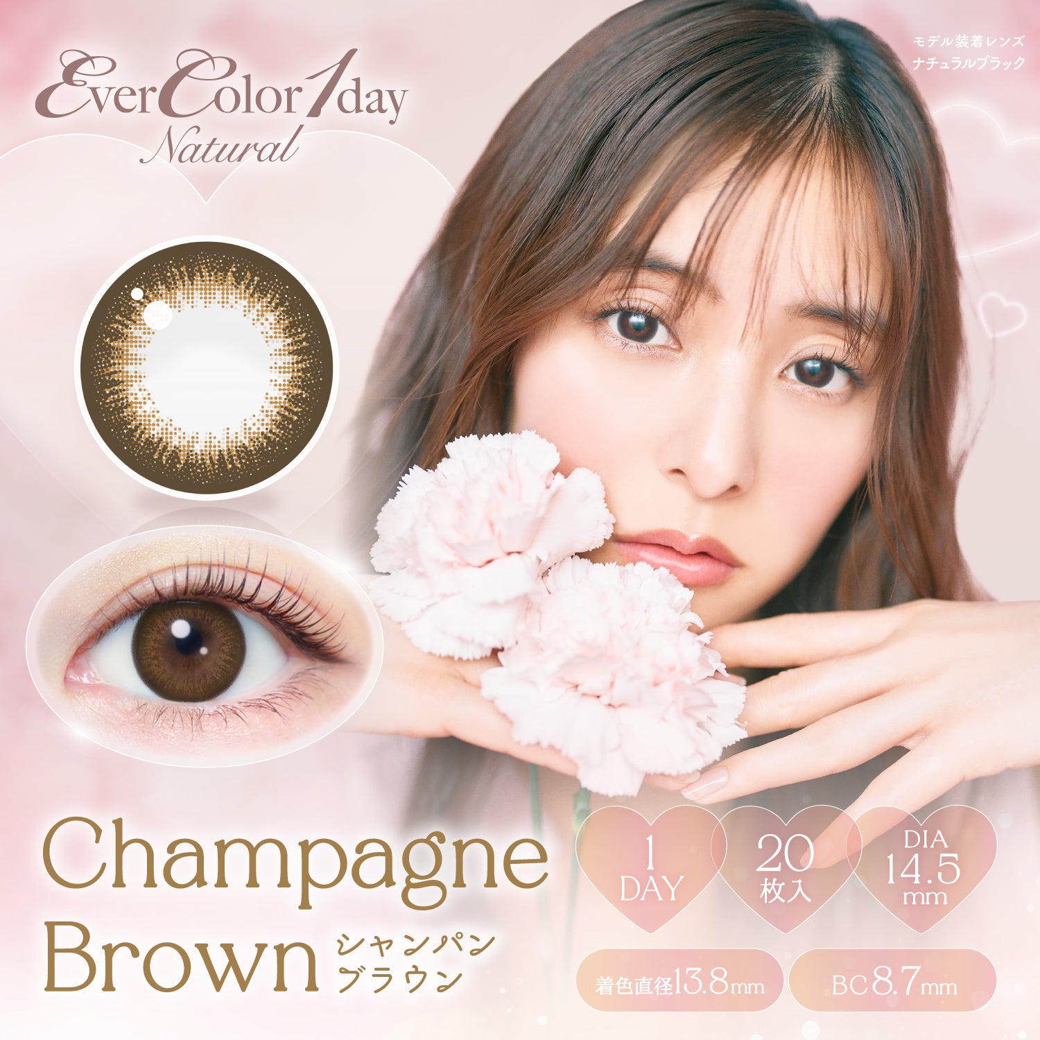 Champagne Brown | EverColor 1day Natural Colored Contact Lens