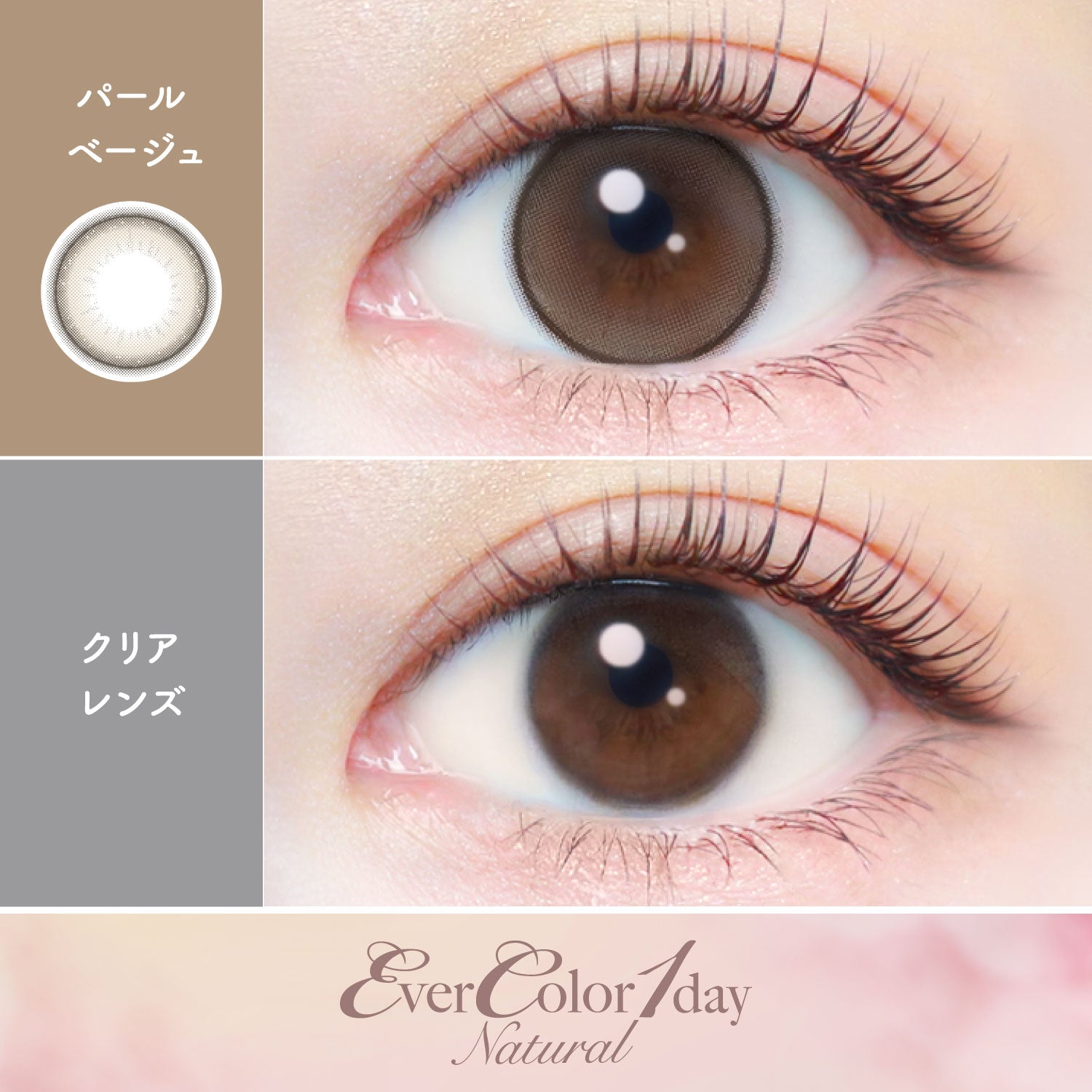 パールベージュ | EverColor 1day Natural カラコン | Push!Color