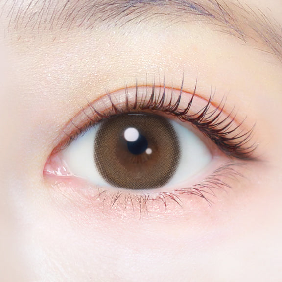 クリアキャメル [EverColor] | 1dayカラコン - DIA 14.5mm | Push!Color