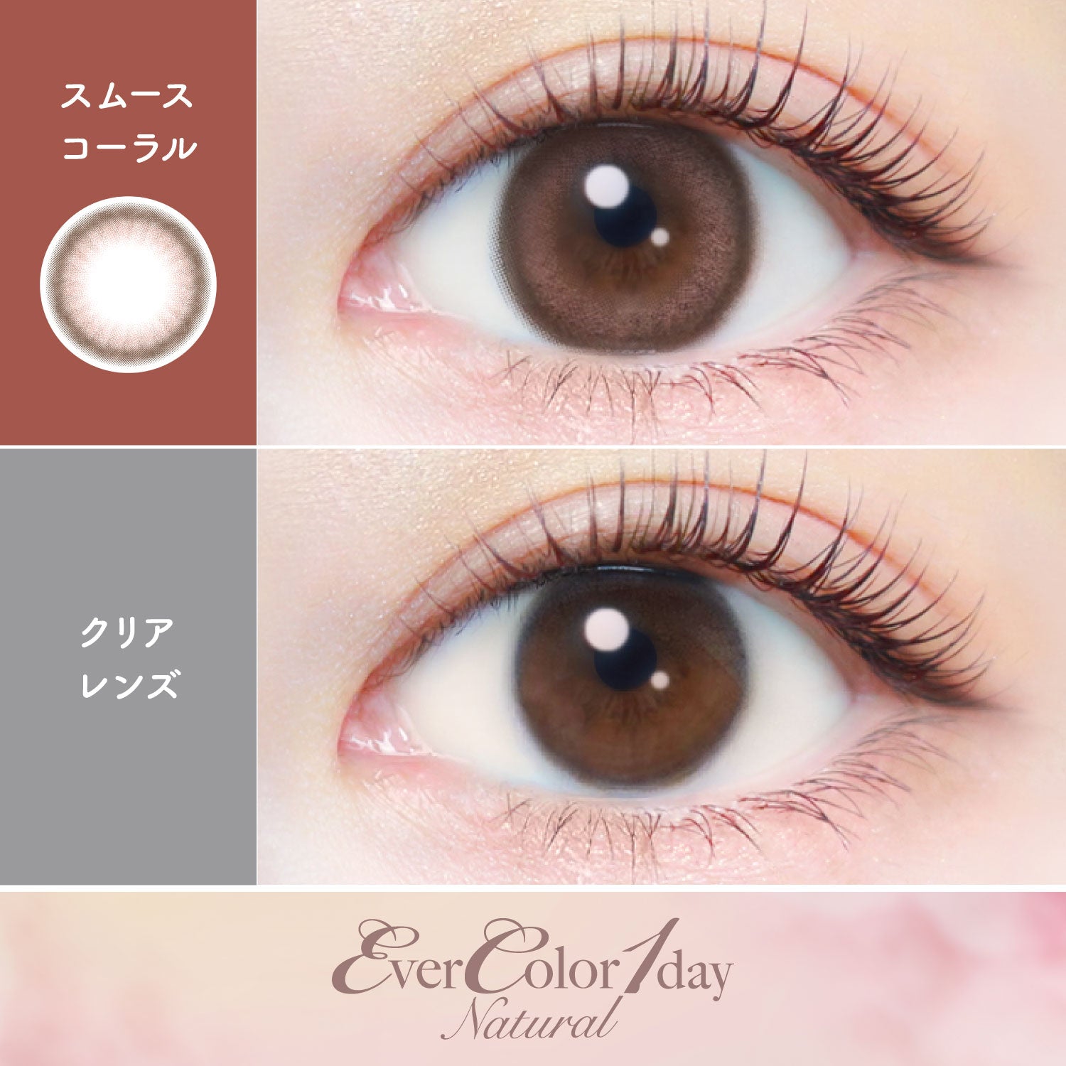 スムースコーラル [EverColor] | 1day