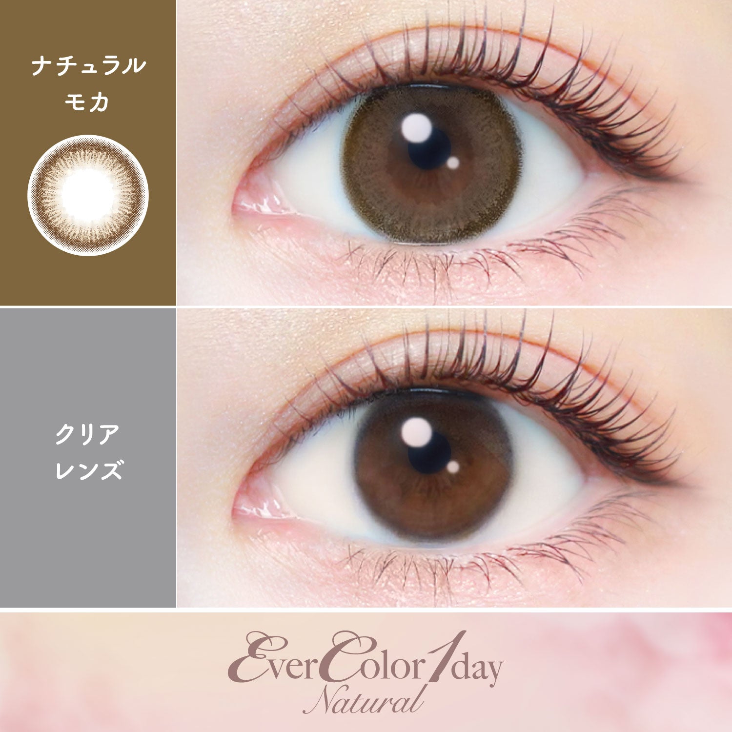 【匿名、即日発送】クイーンズヘナ　5個セット　ナチュラル　モカ ナチュラルモカ [EverColor] | 1dayカラコン - DIA 14.5mm | Push!Color