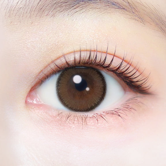 damascoCastanho | 1 dia