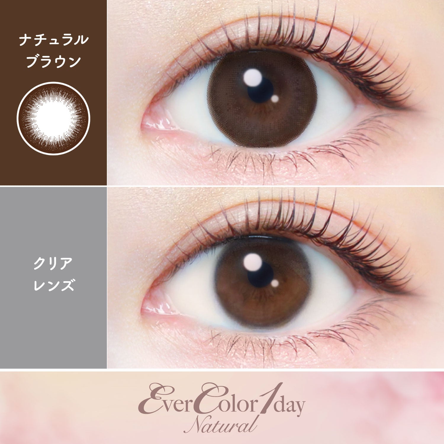 ナチュラルブラウン [EverColor] | 1dayカラコン - DIA 14.5mm | Push