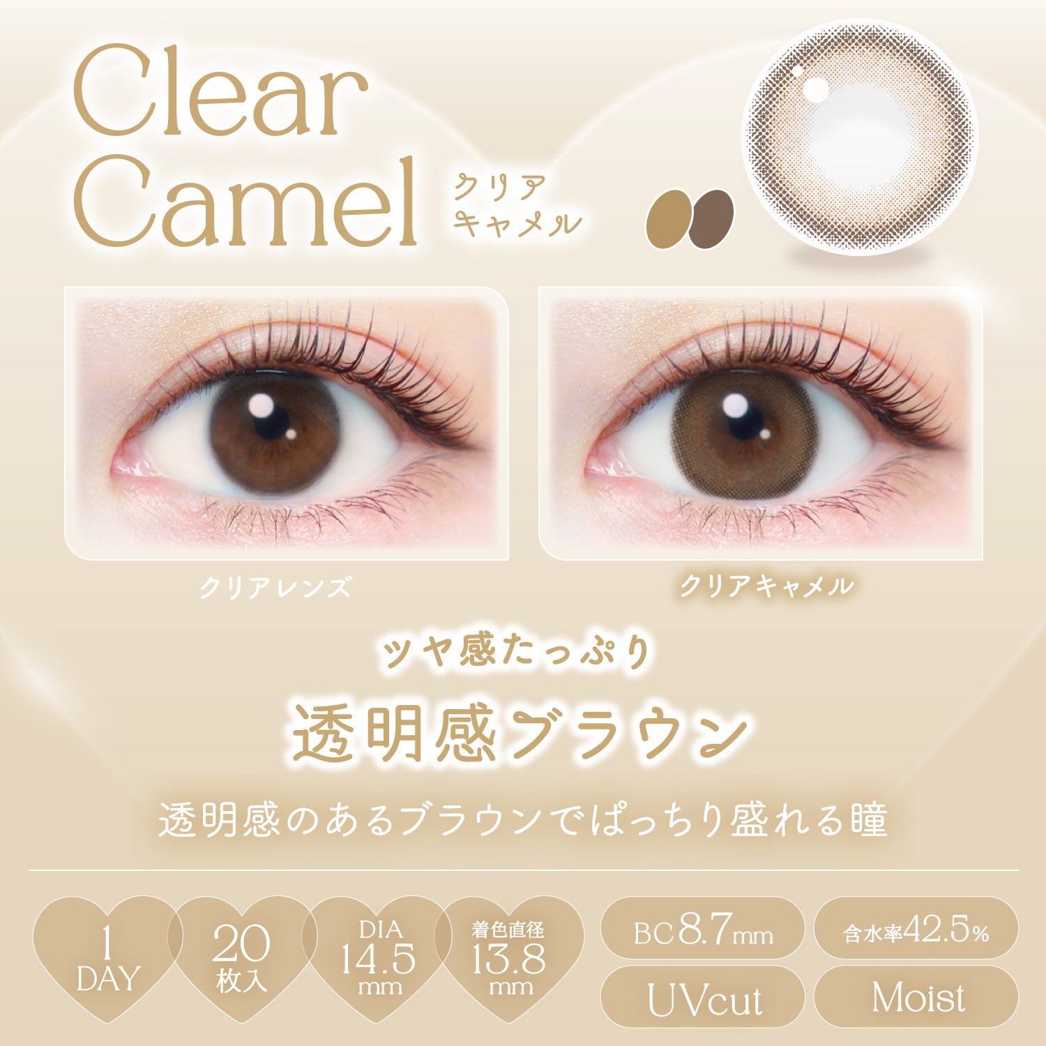 クリアキャメル [EverColor] | 1dayカラコン - DIA 14.5mm | Push!Color