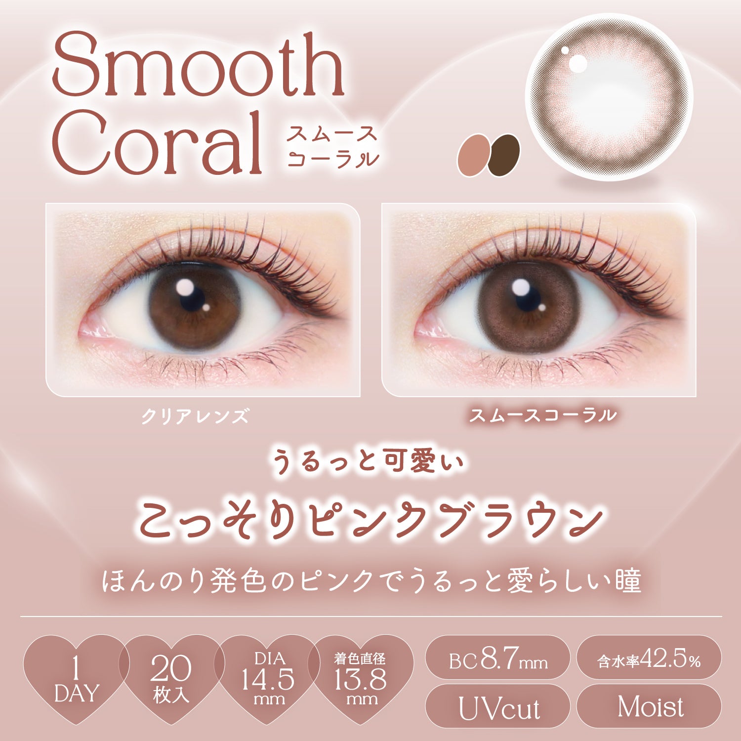 スムースコーラル [EverColor] | 1day
