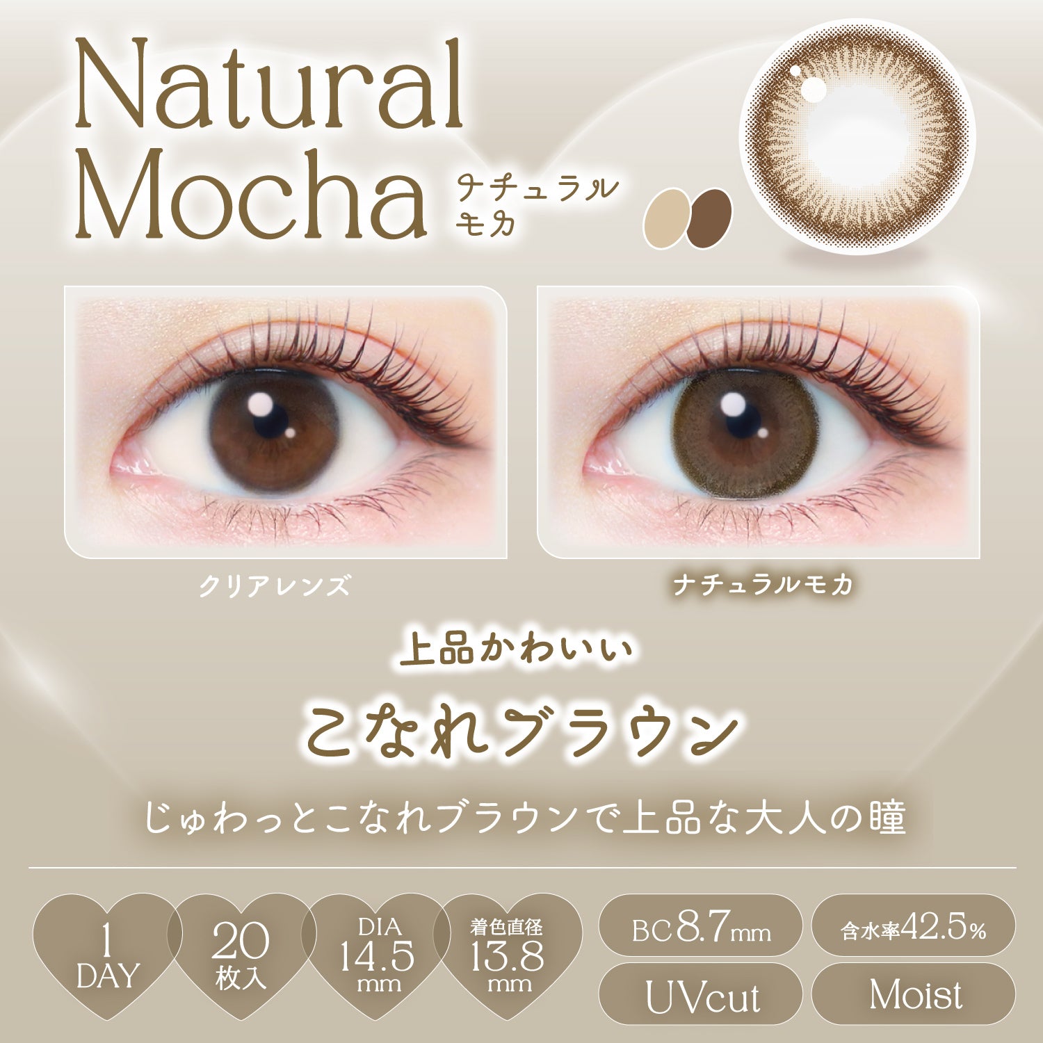 Natural Mocha [EverColor] | 1day Colored Contact Lens - DIA 14.5mm