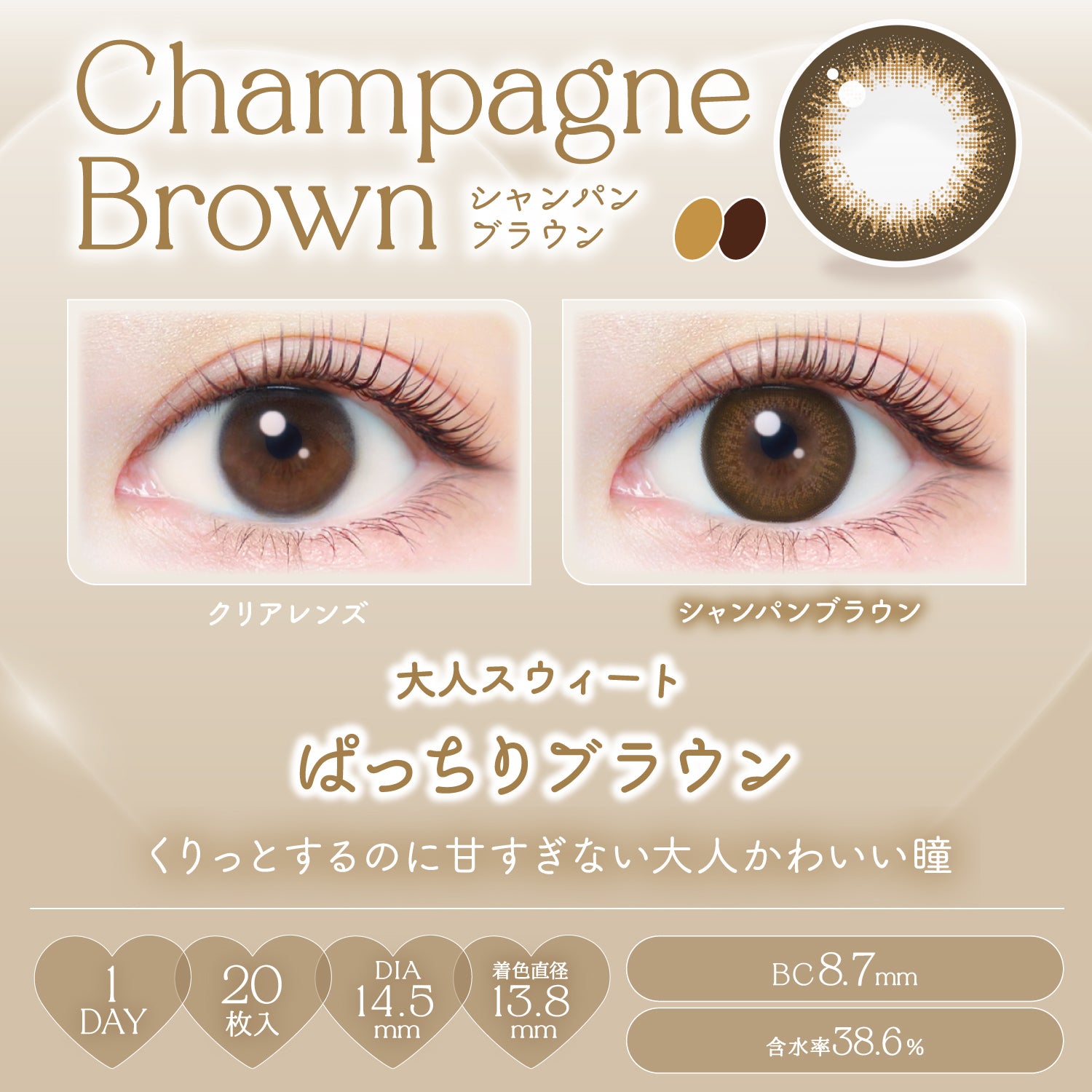 Champagne Brown [EverColor] | 1day Colored Contact Lens - DIA 14.5
