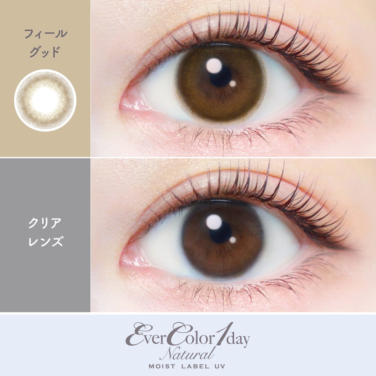 Feel Good [EverColor] | 1day Colored Contact Lens - DIA 14.5mm