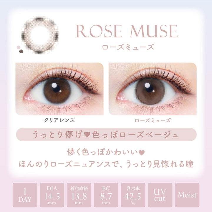 Rose Muse | 日拋