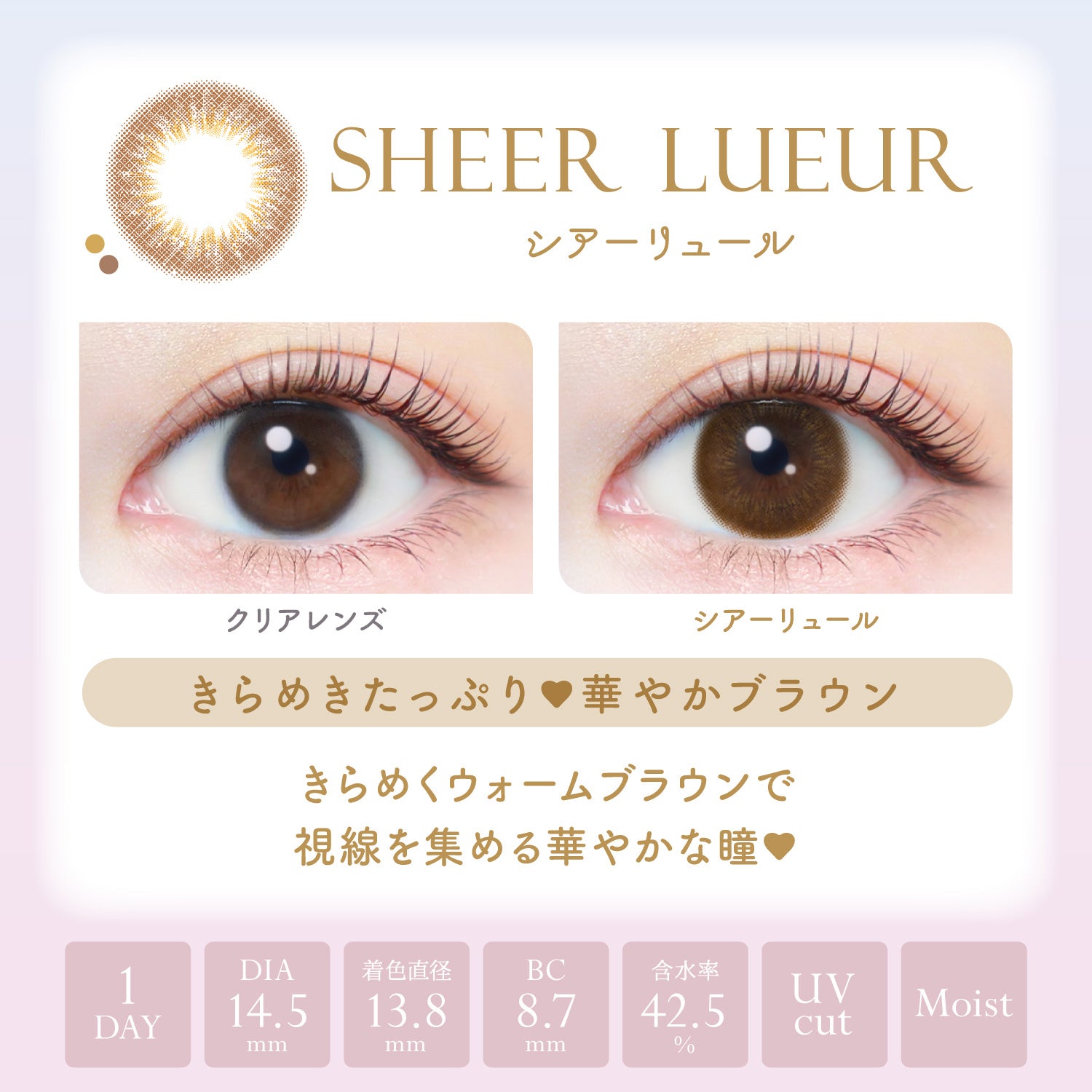 Sheer Lueur  [EverColor] | 1day