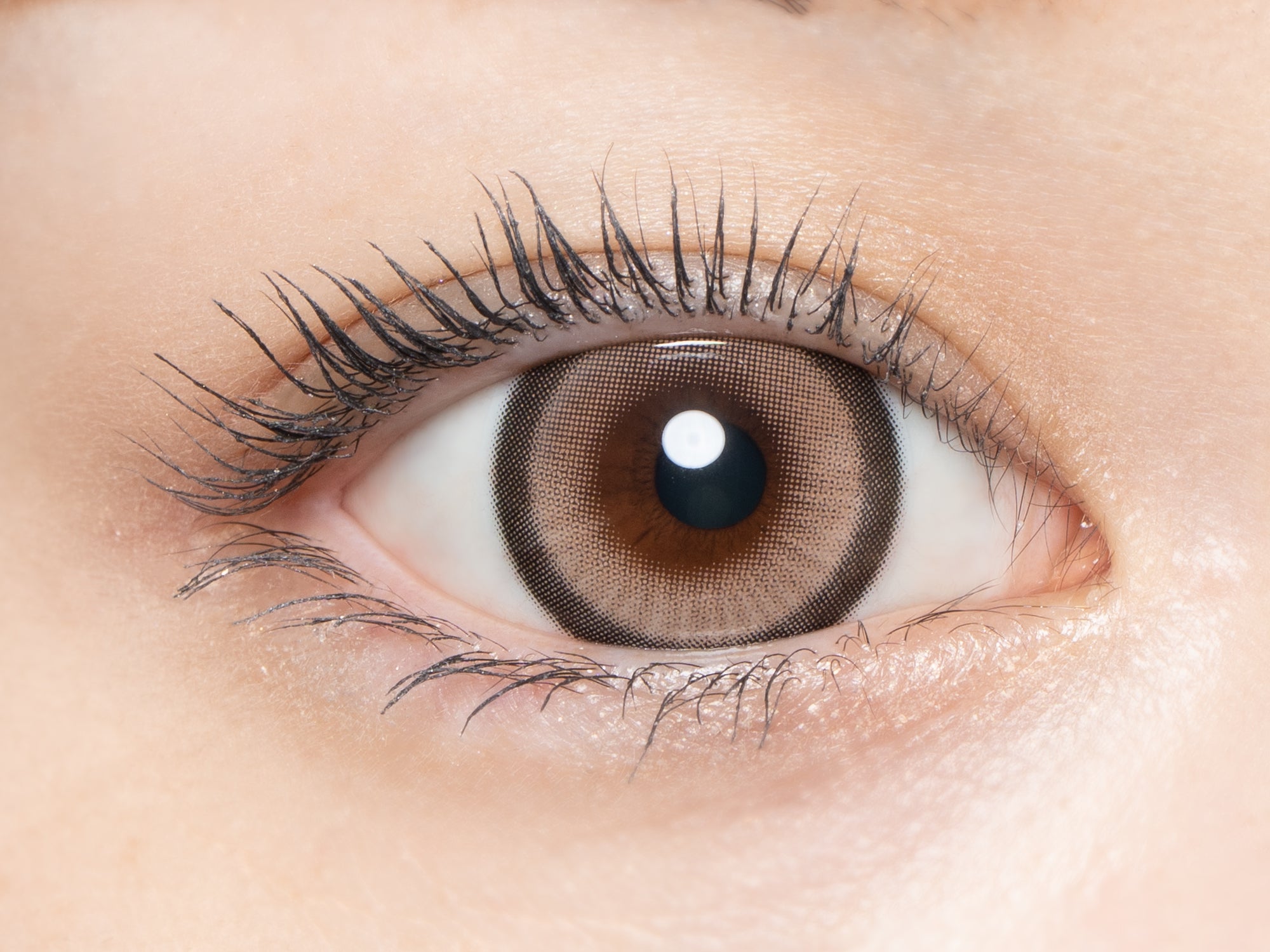 アルカディアゴールド [loveil] | 1dayカラコン - DIA 15.0mm | Push!Color