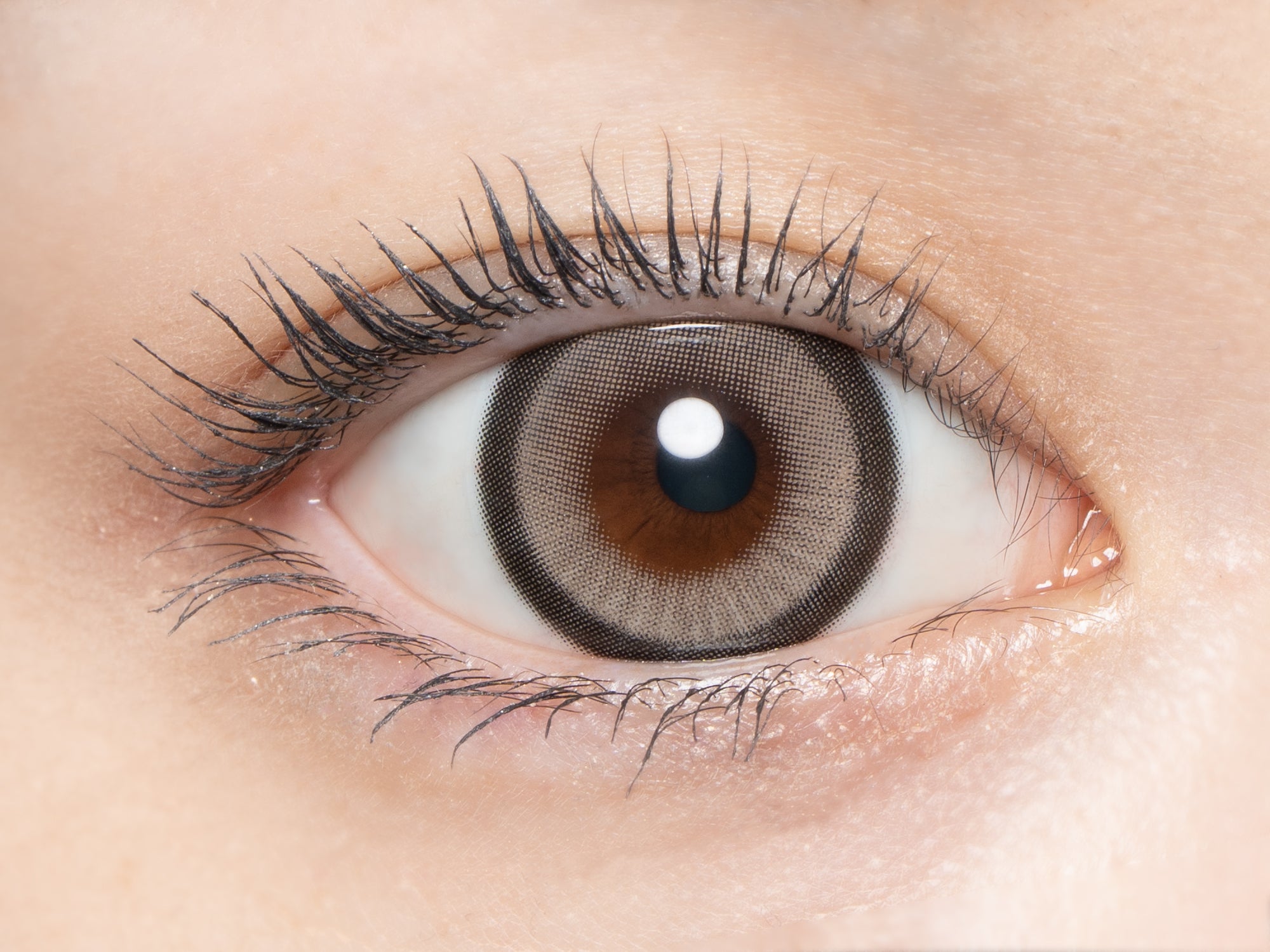 セレスティアグレー [loveil] | 1dayカラコン - DIA 15.0mm | Push!Color