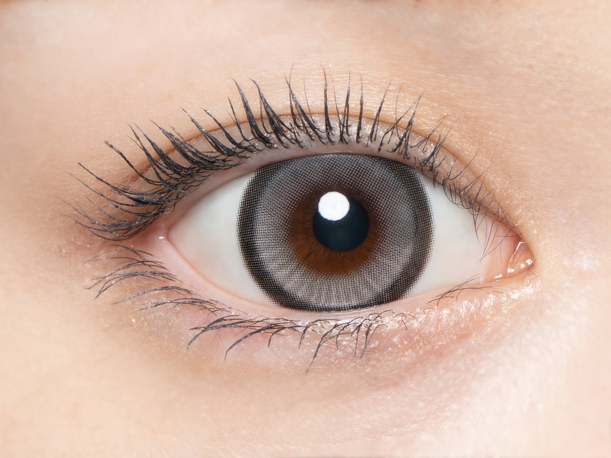 Dreamia Navy [loveil] | 1day Colored Contact Lens - DIA 15.0mm