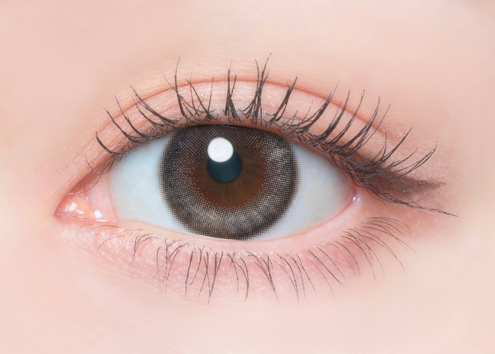 Solteira [FLANMY] | 1day 