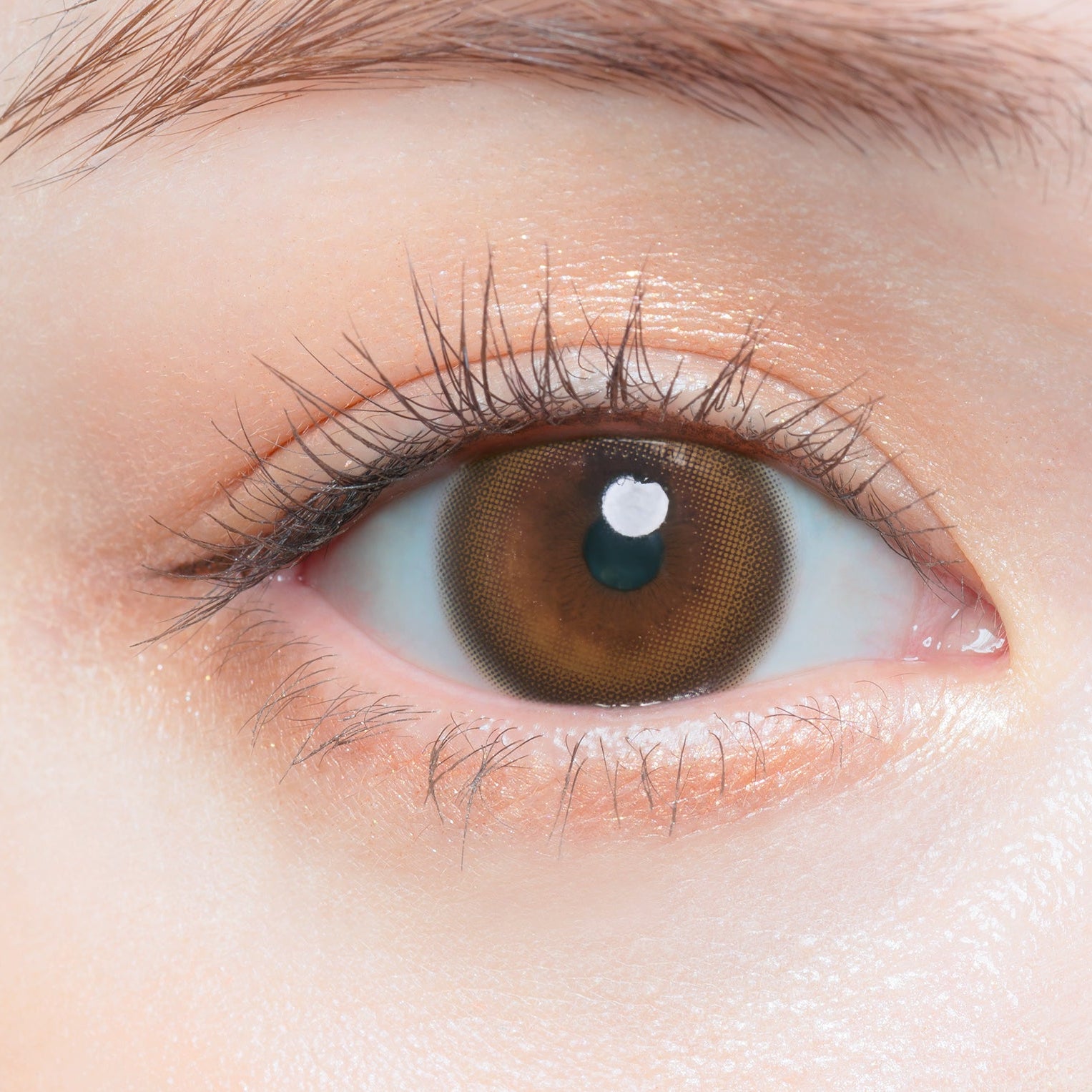 هوريكيس [Chu's me] | 1day 