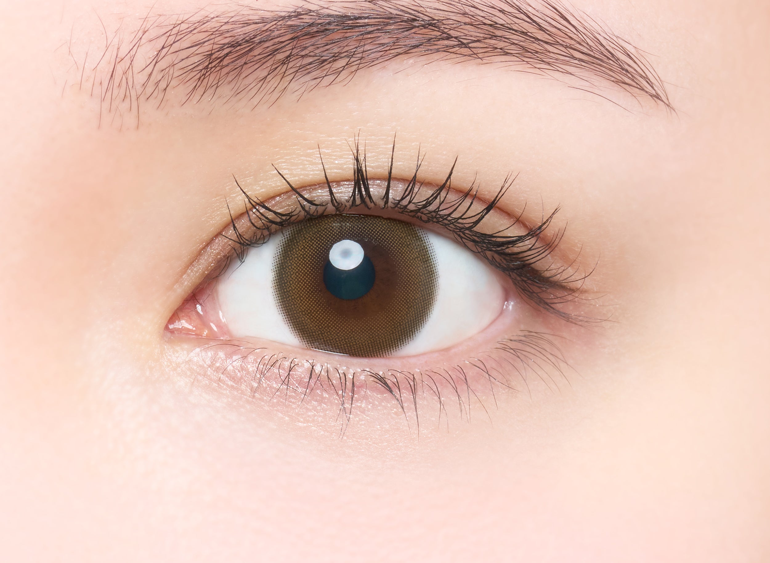 กฎฮิโรอิน เลนส์โทริก [melotte] | 1day 