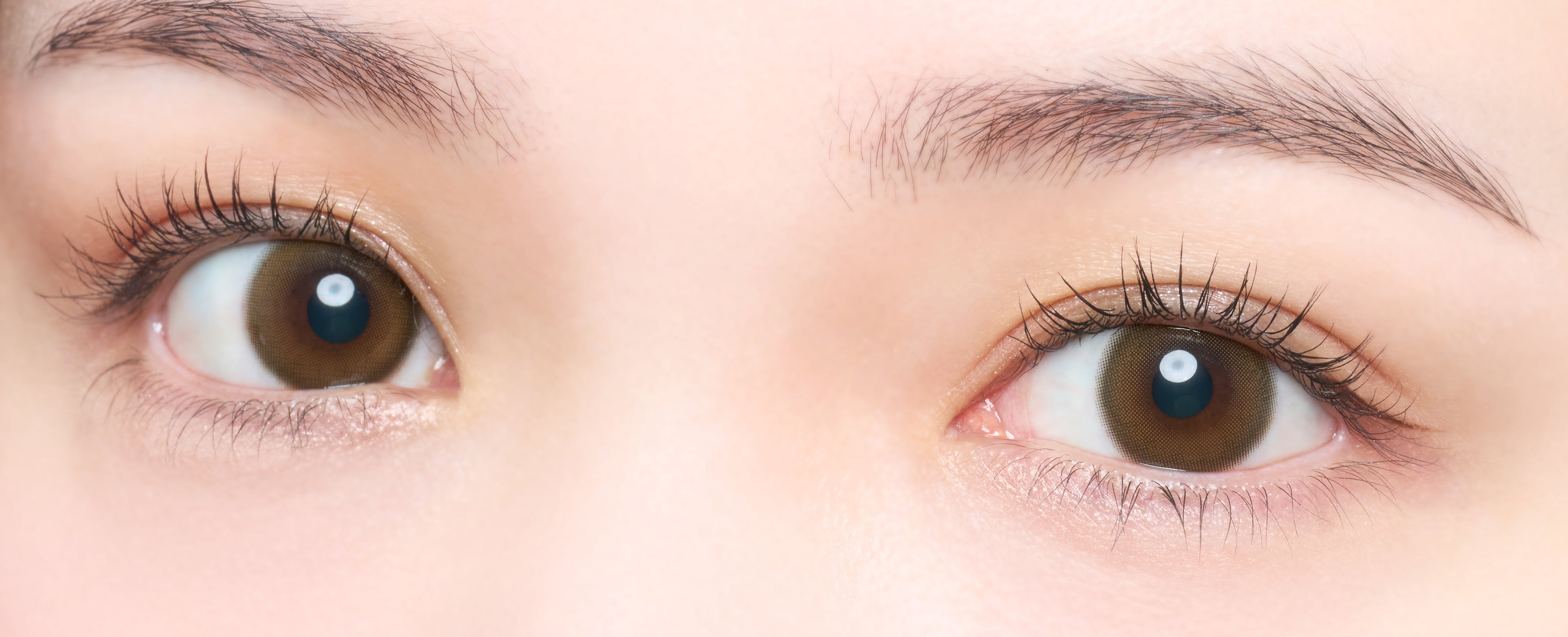 กฎฮิโรอิน เลนส์โทริก [melotte] | 1day 