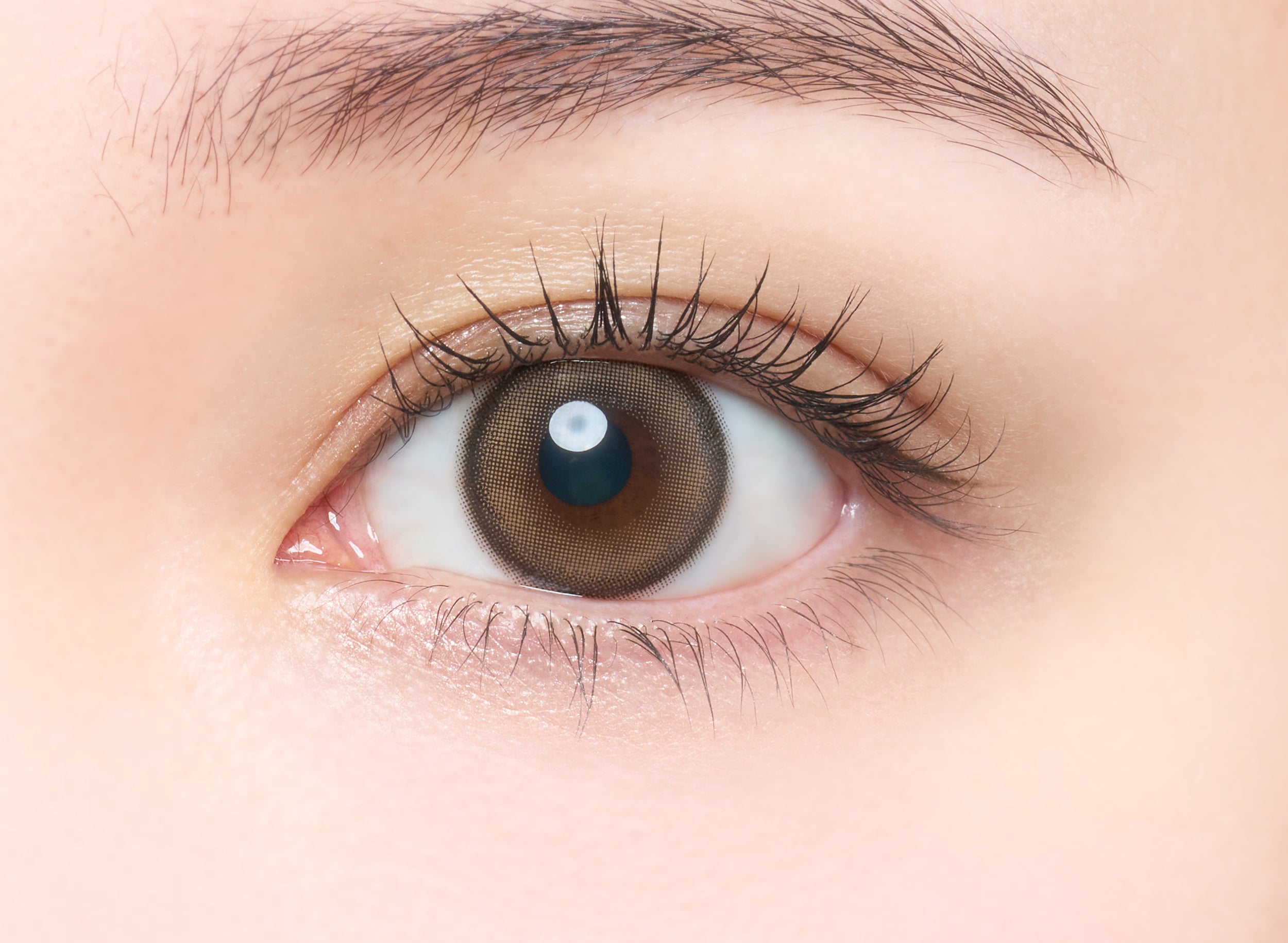 Pearling Torische Linsen [melotte] | 1day 