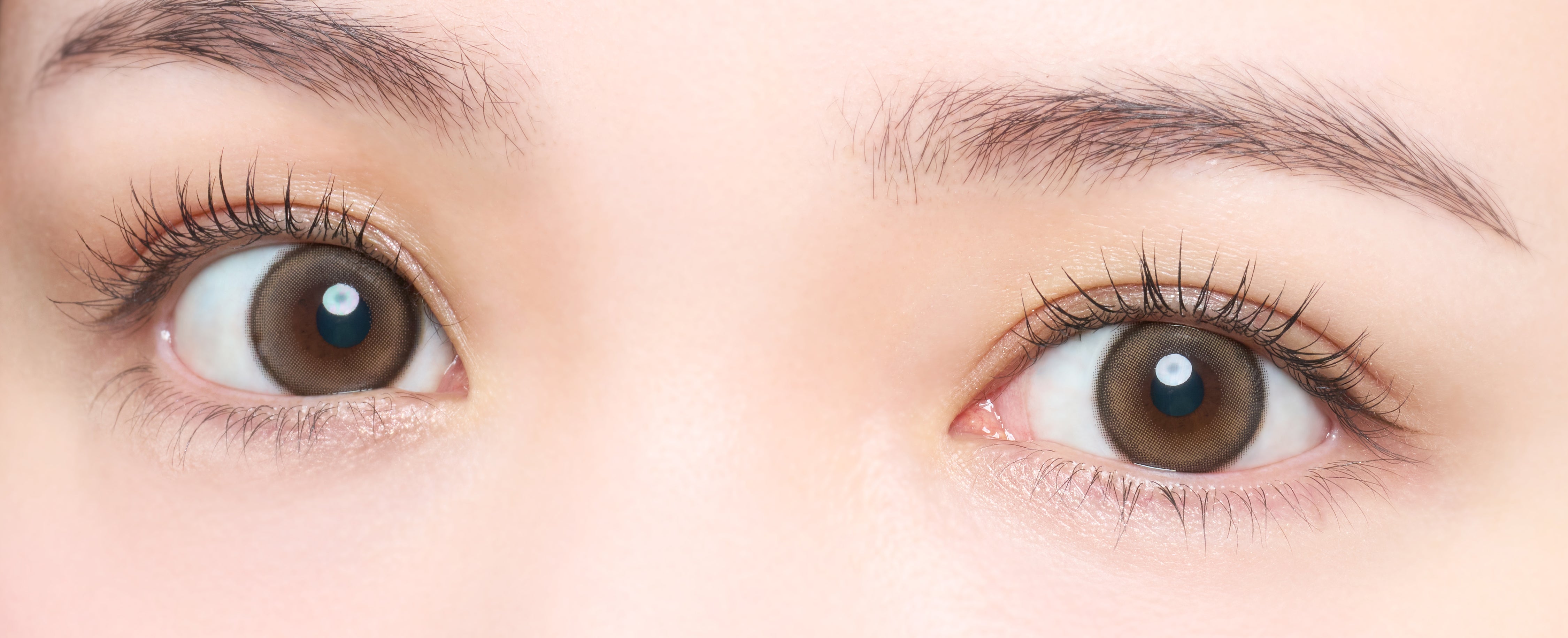 Pearling Torische Linsen [melotte] | 1day 