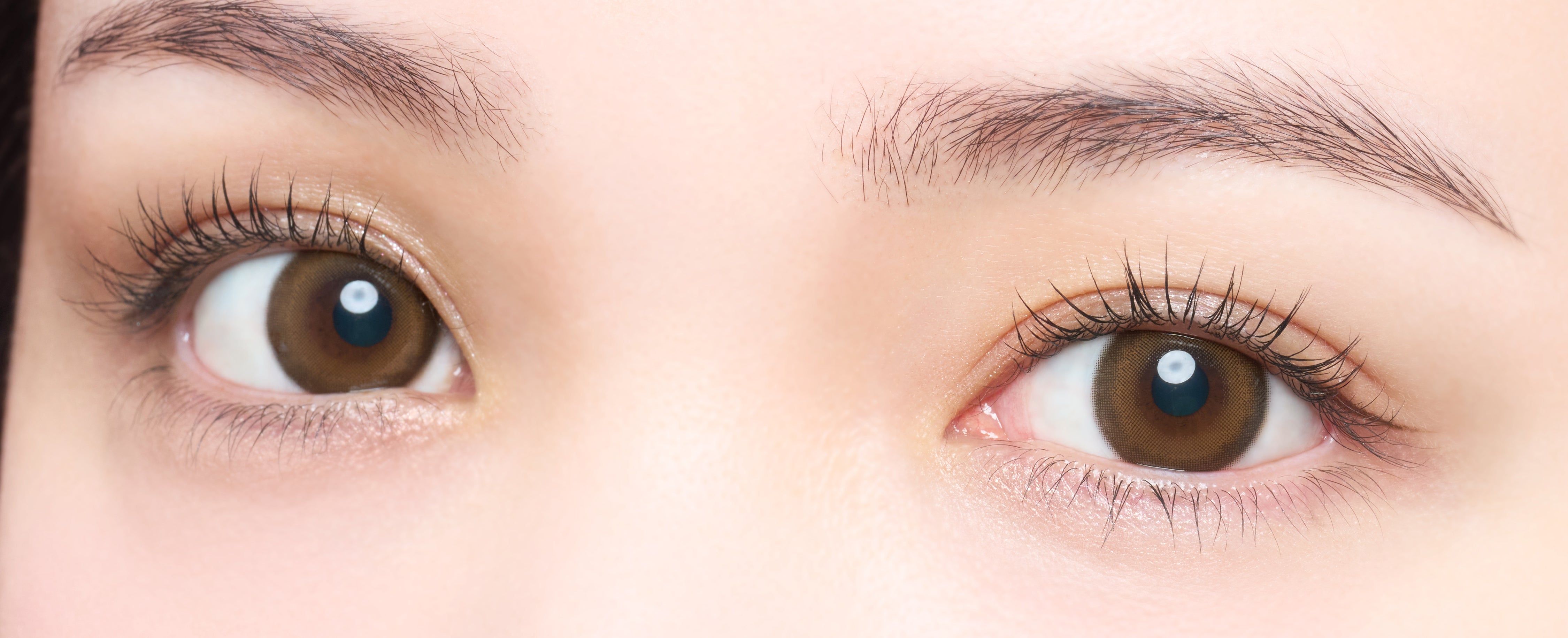 シークレットベア 乱視用レンズ [melotte] | 1dayカラコン - DIA 14.2