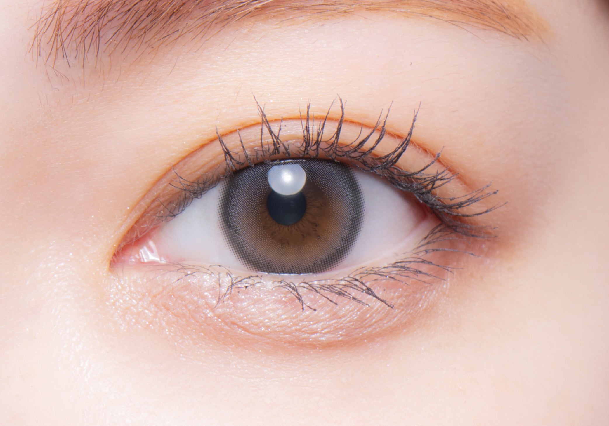 Klimmzüge [melotte] | 1day 