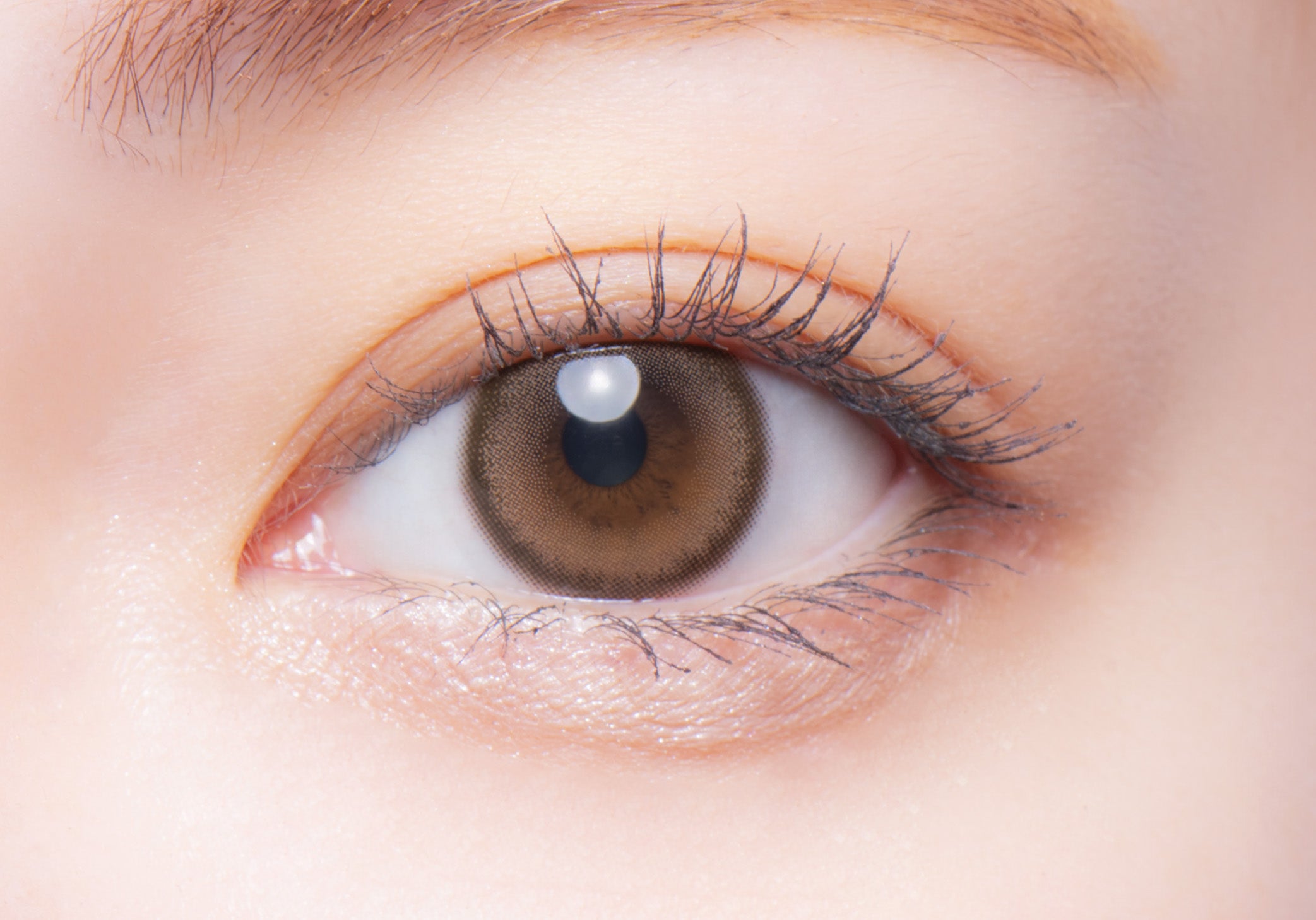 オンリーマイン [melotte] | 1dayカラコン - DIA 14.2mm | Push!Color