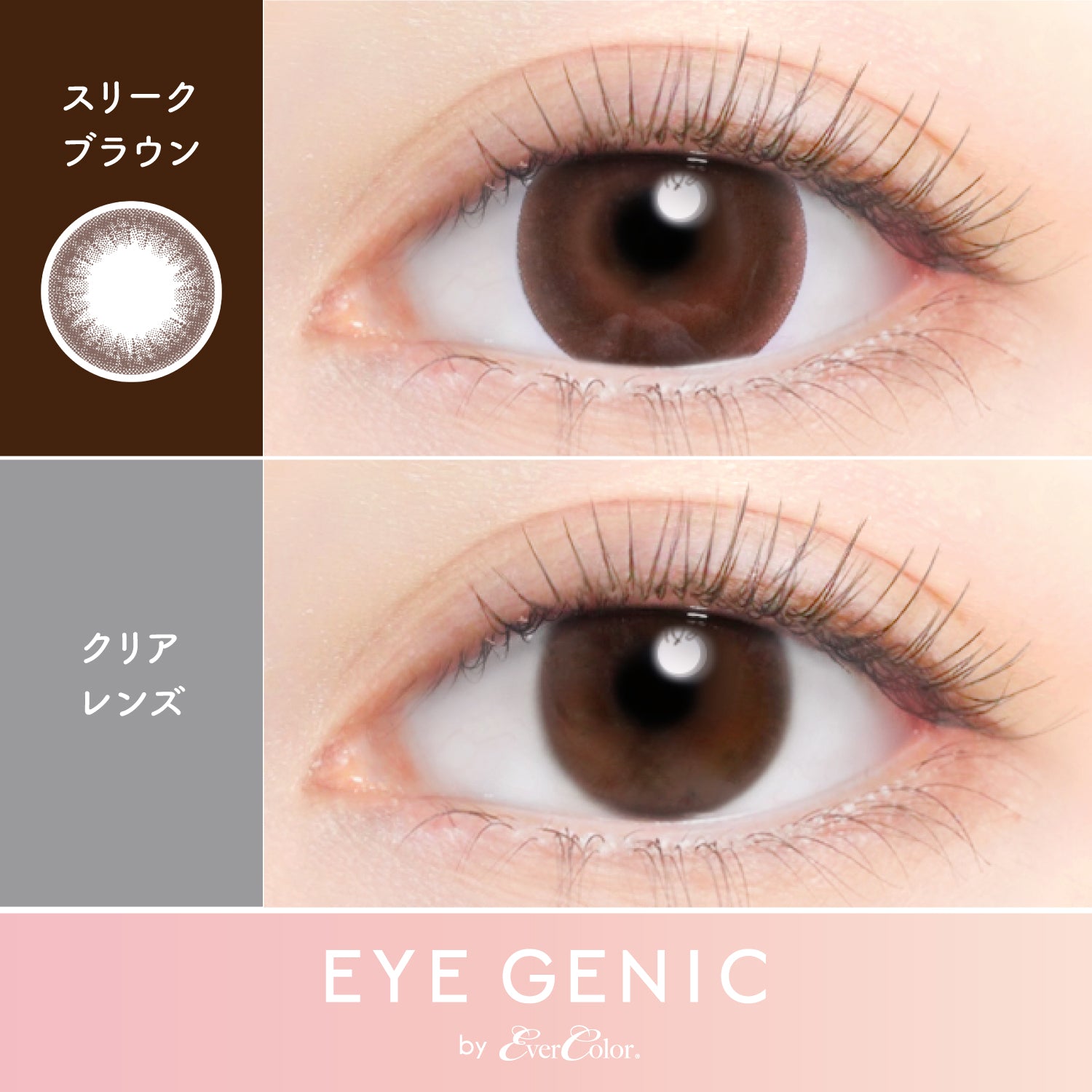 สตรีคสีน้ำตาล | 1 เดือน 