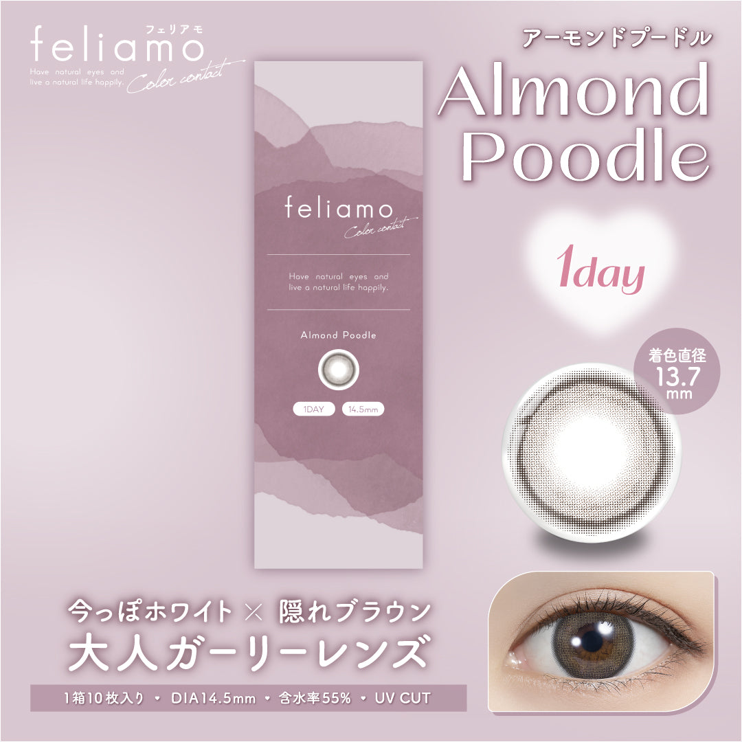 Almond Poodle  [feliamo] | 1day 