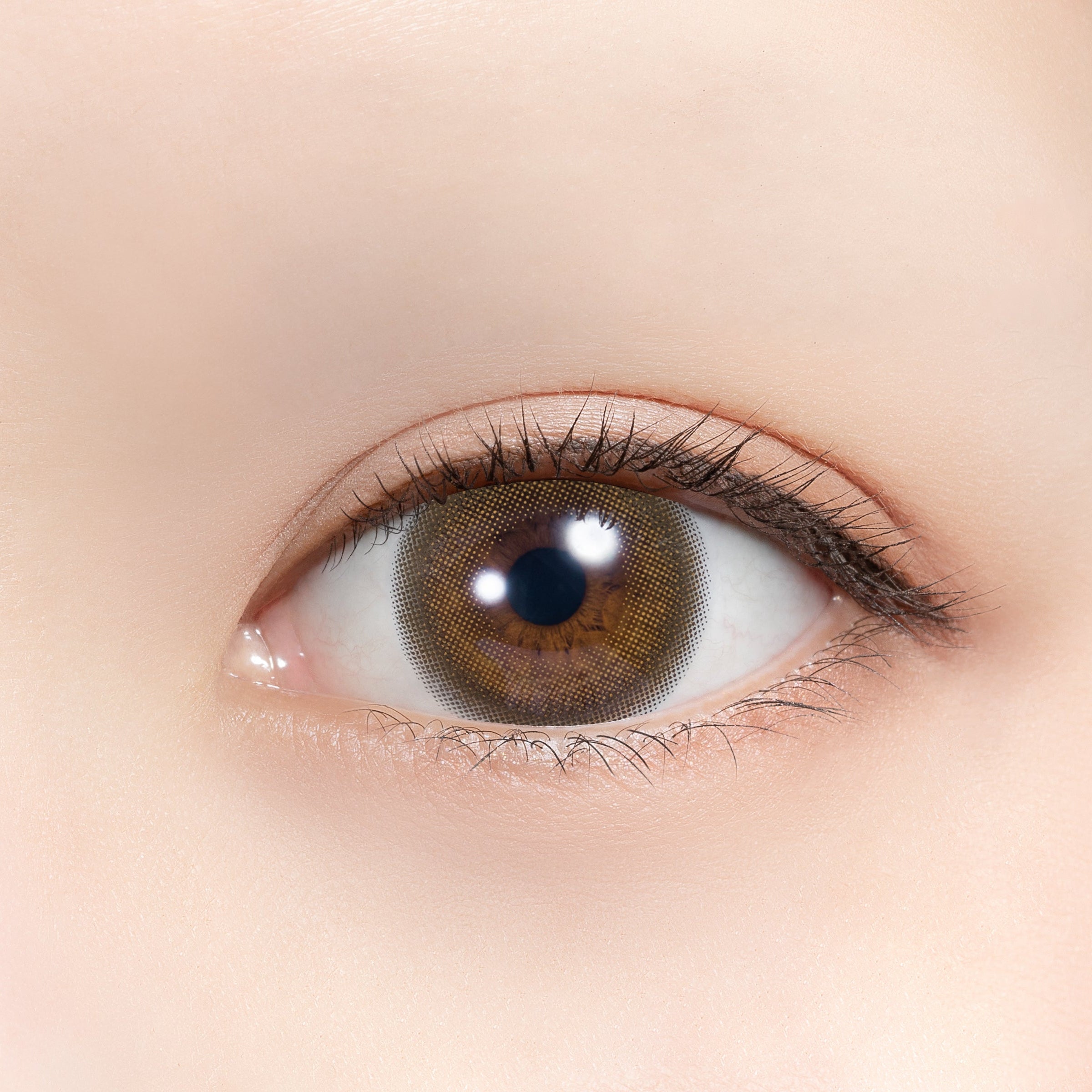 Melty Butter [feliamo] | 1day 