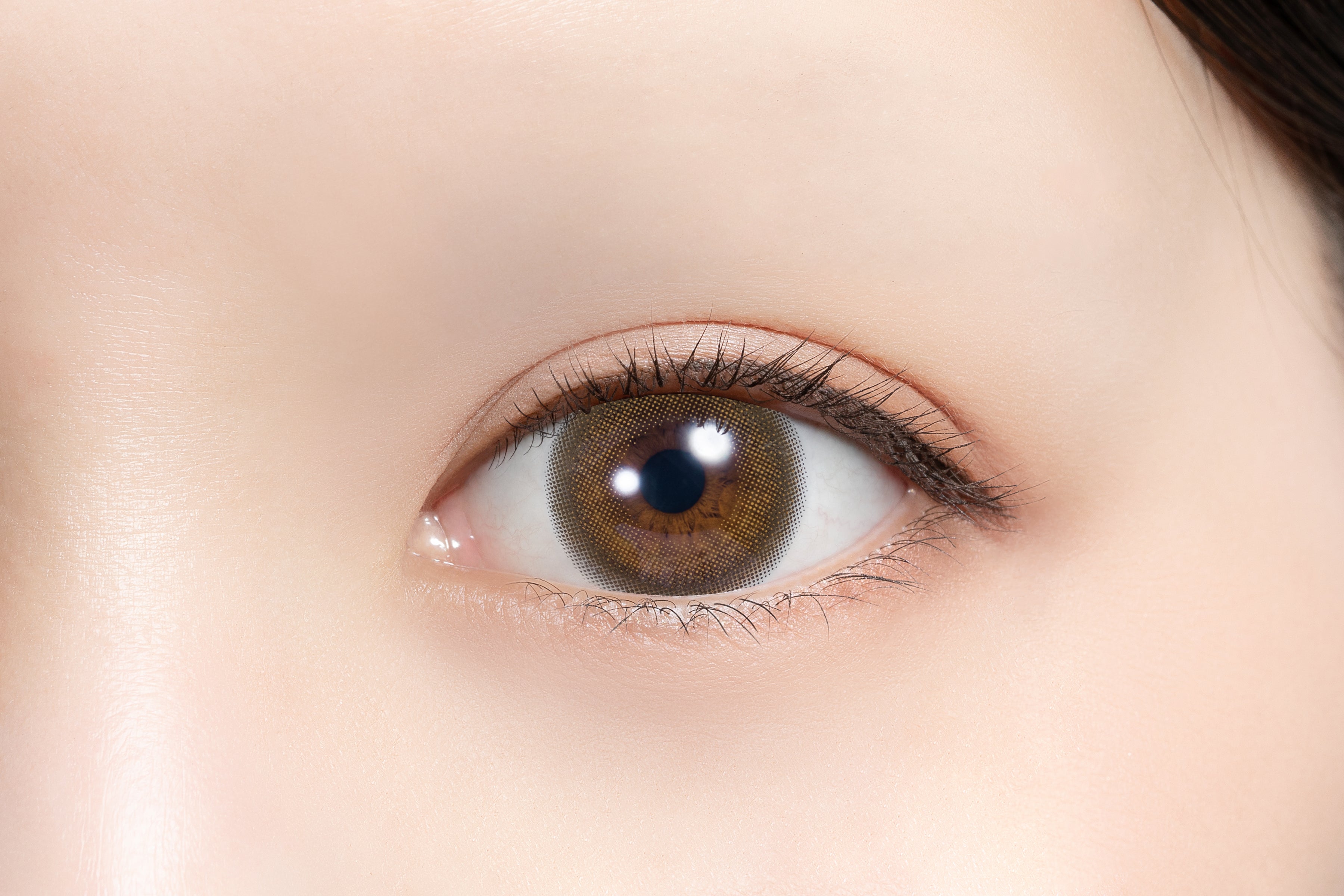 Bateri Melti [feliamo] | 1day 