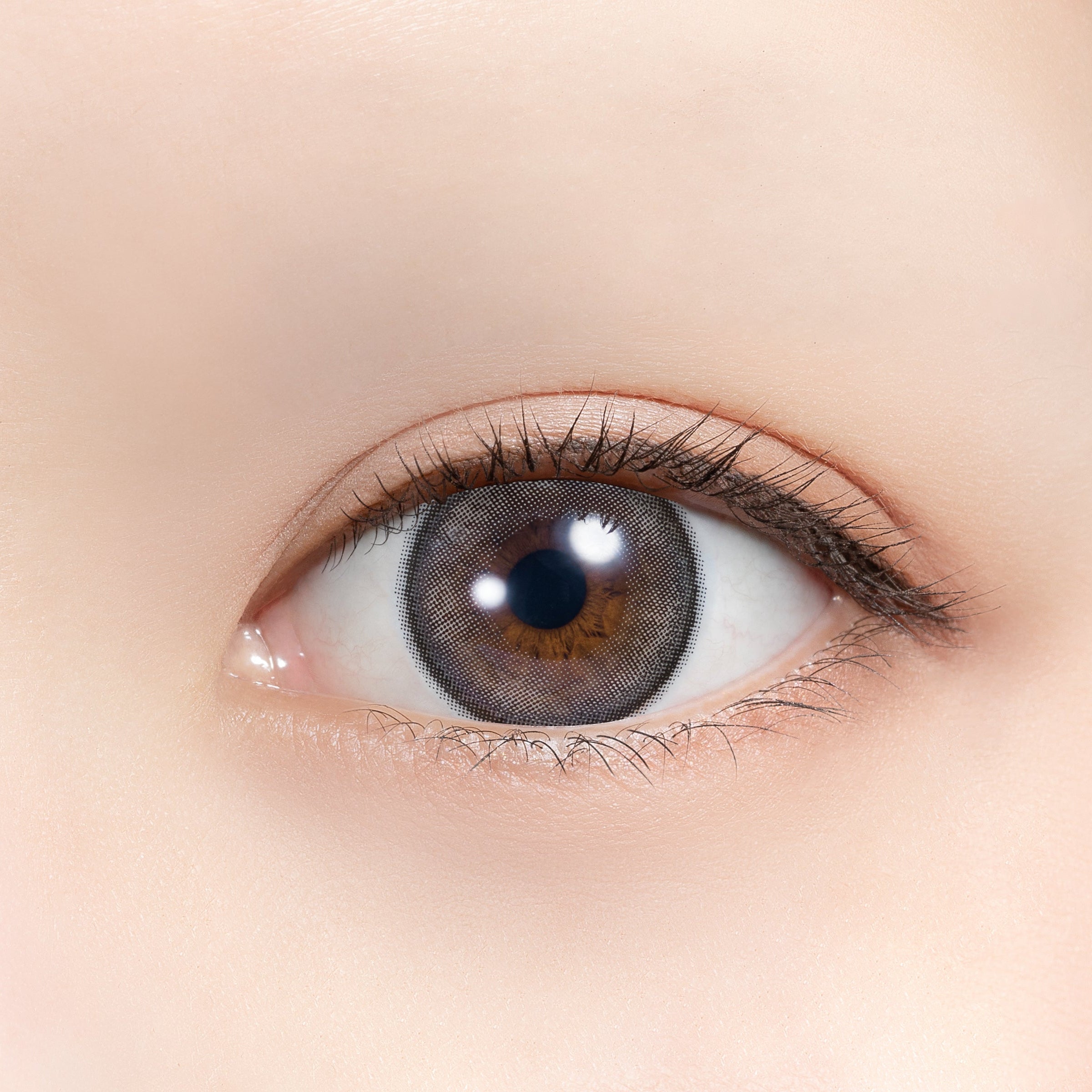 舒加爾帕爾 [feliamo] | 1day 