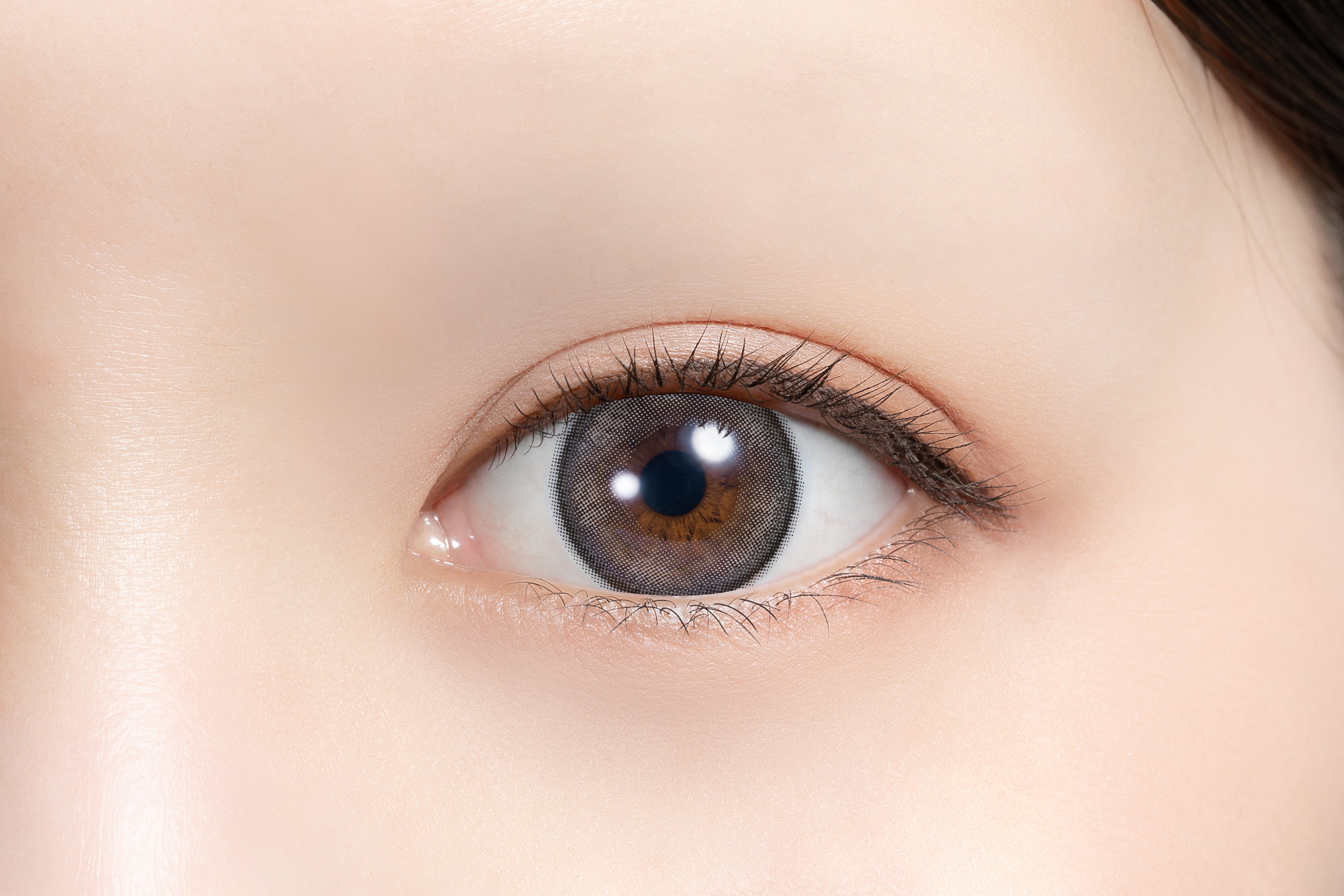 Shugā Pāru [feliamo] | 1day 